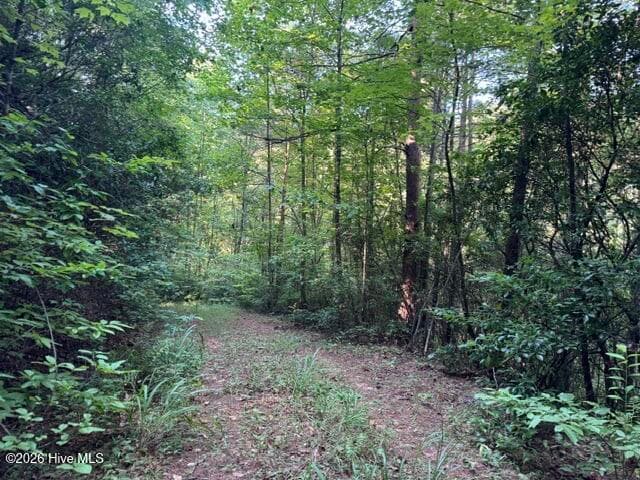 Residential Lot at 5 Tyler Lane, Marble, NC 28905, photo 19 of 28