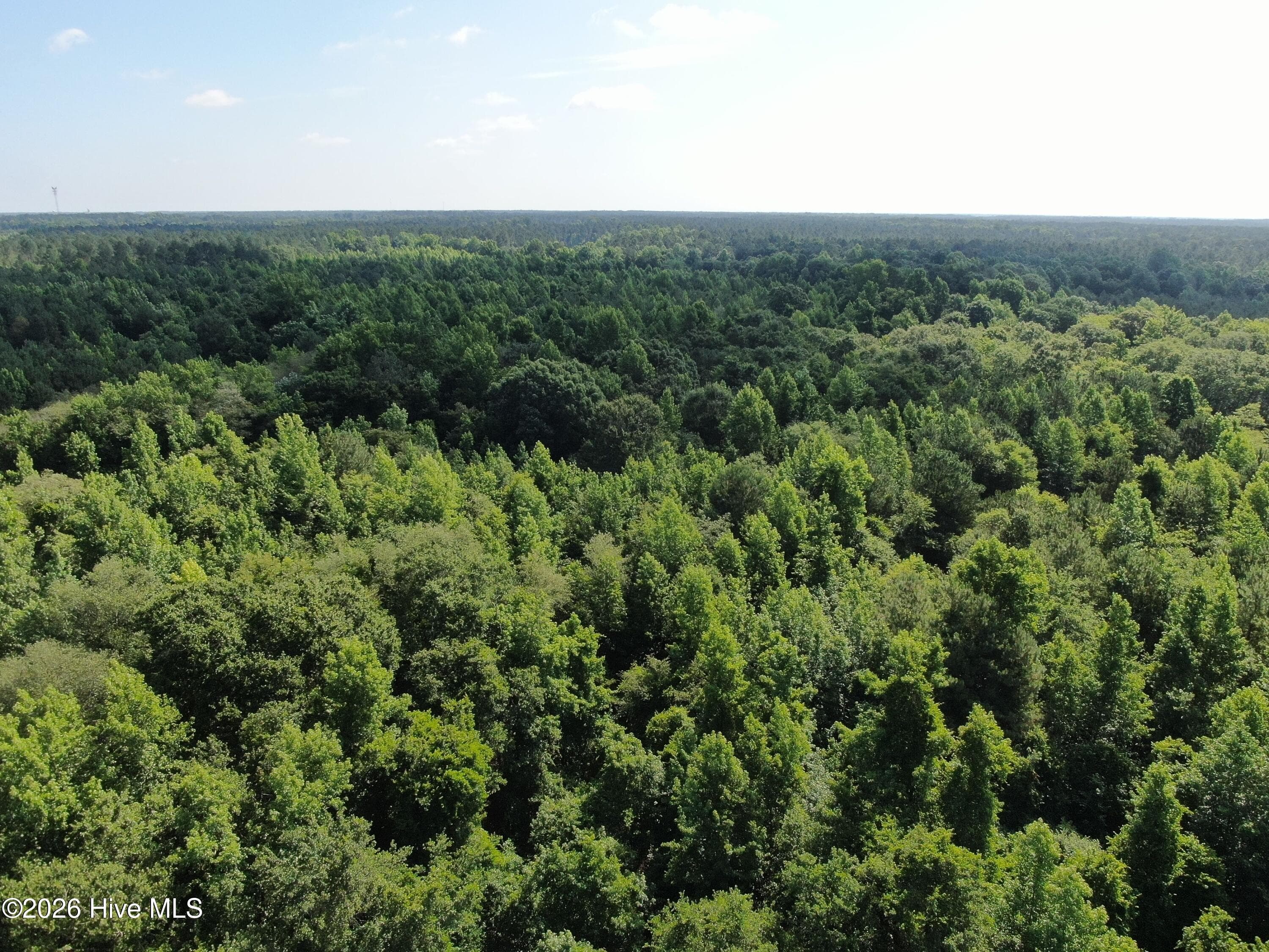 Wooded at Tbd Oliver Carlton Road, Warsaw, NC 28398, photo 17 of 17