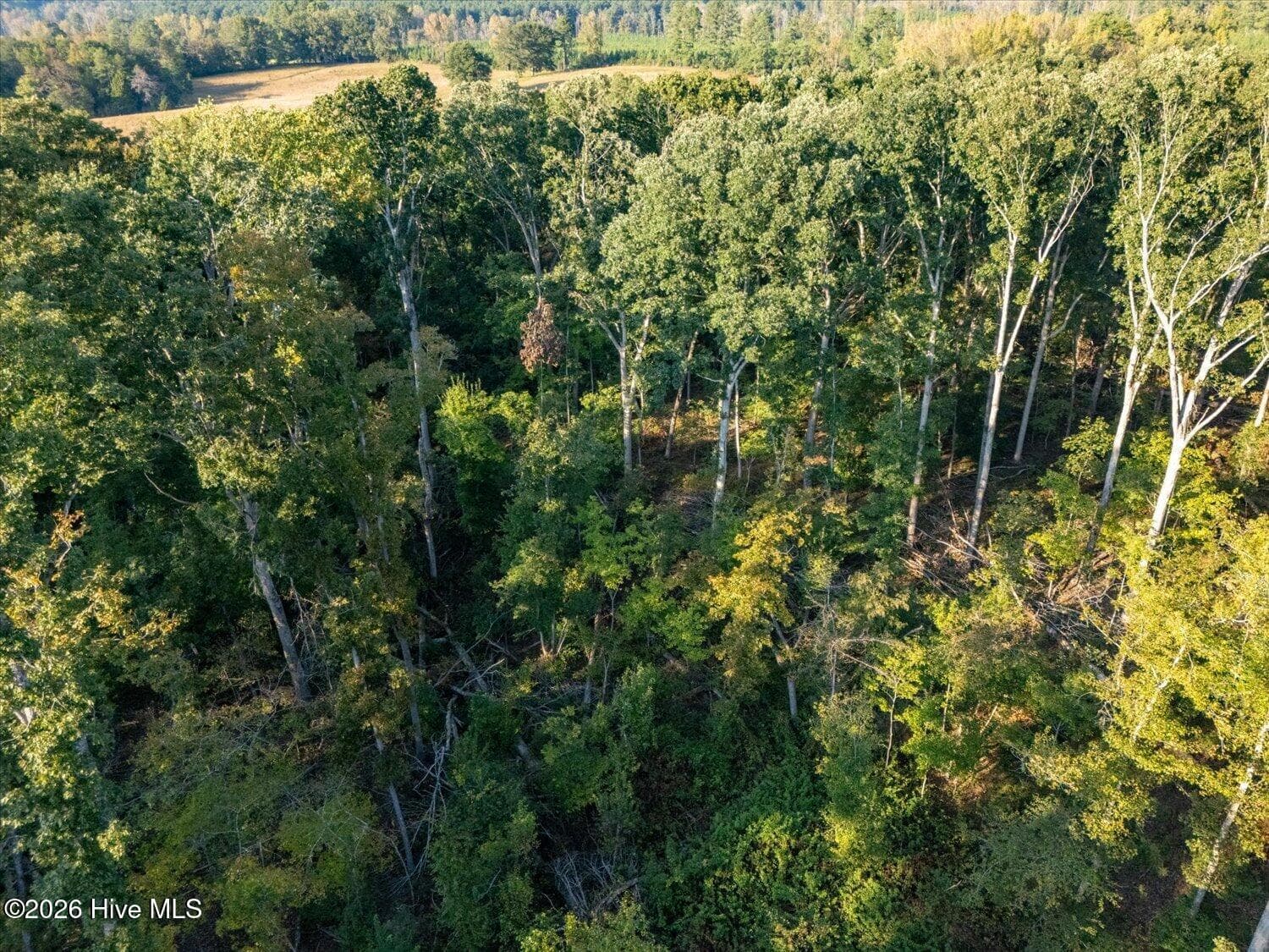 Residential Lot at 2 Austin Road, Belton, SC 29627, photo 9 of 10