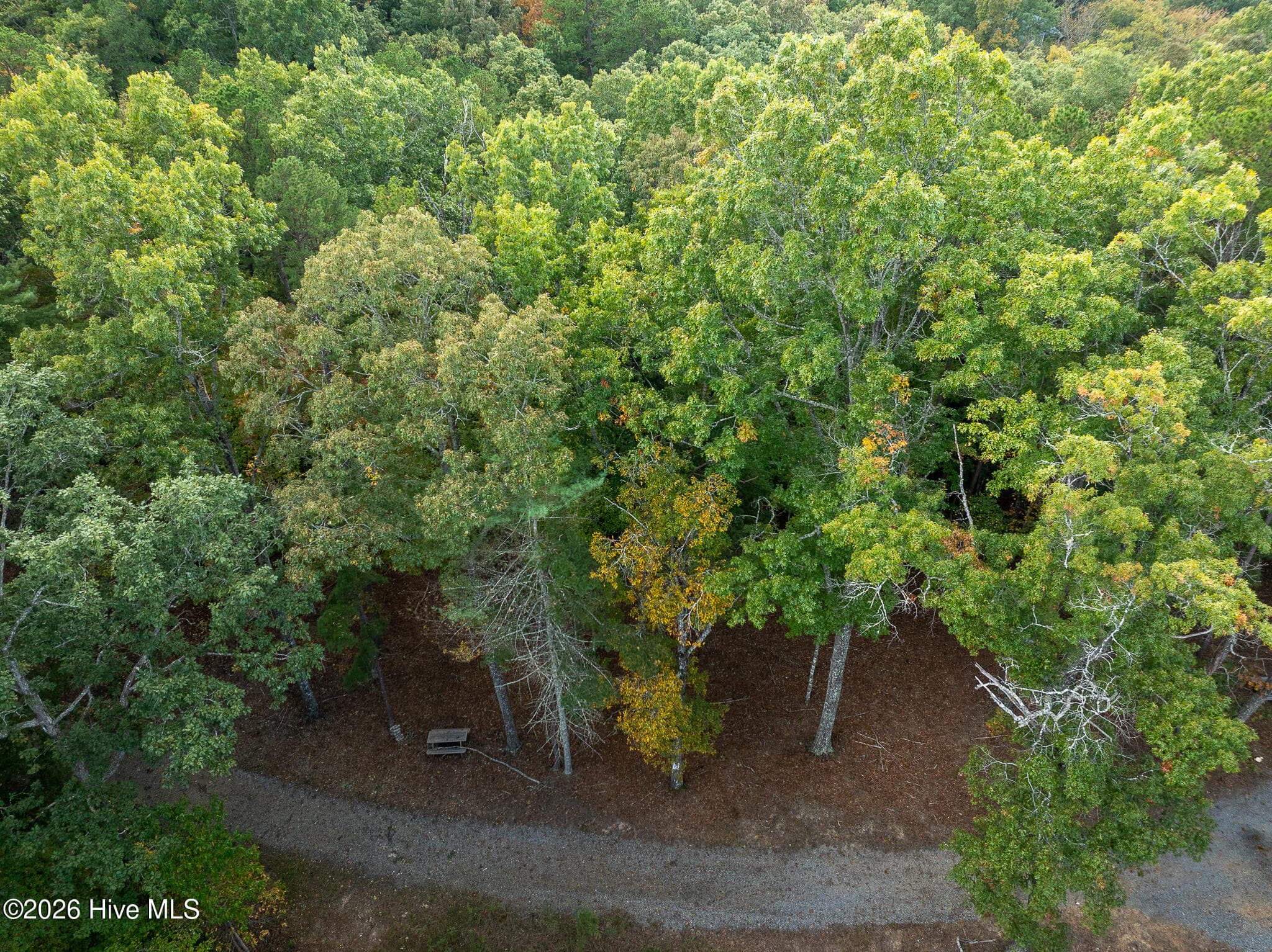 Wooded at Lot 22 Morris Ridge Drive, Murphy, NC 28906, photo 3 of 23