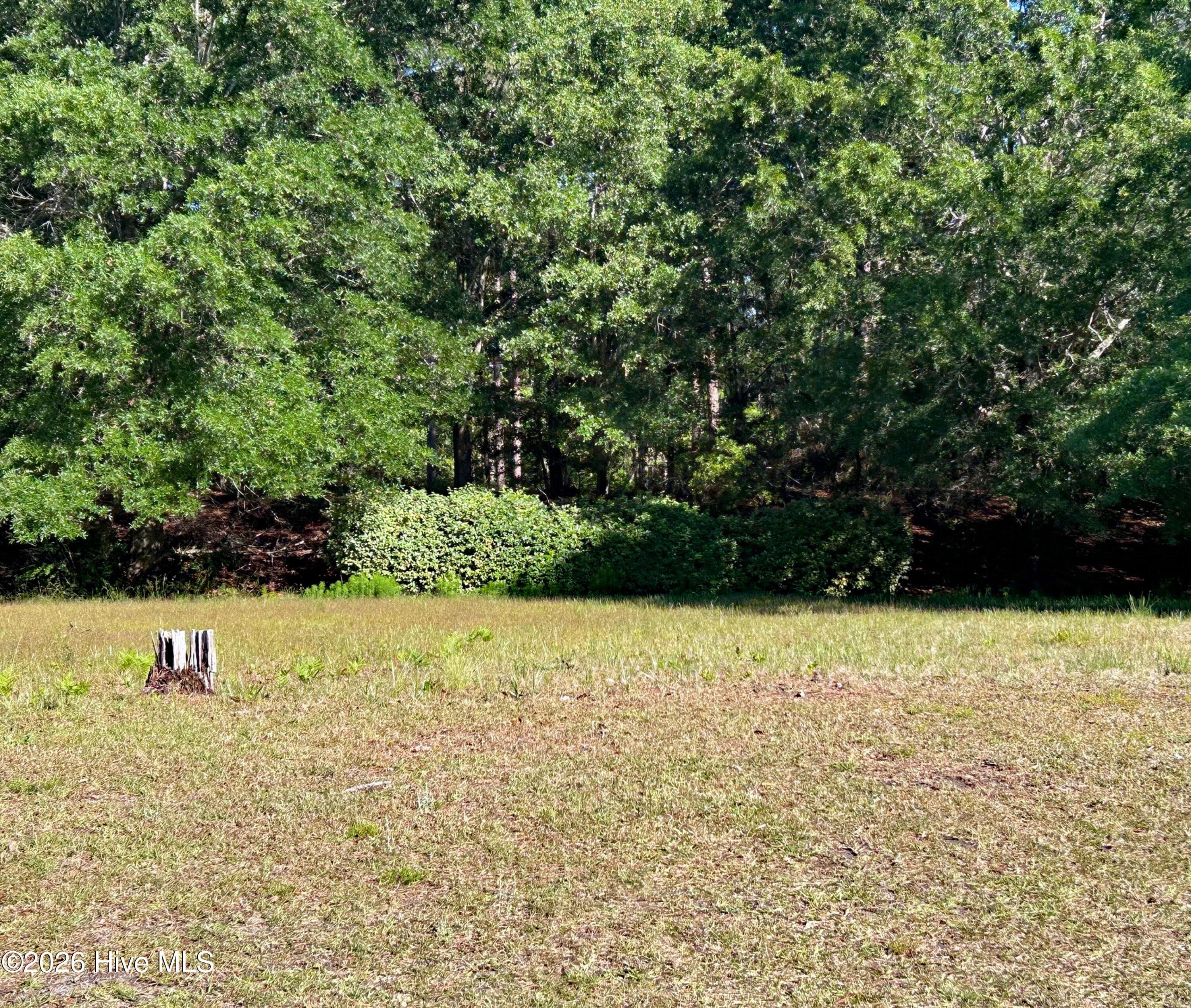 Residential Lot at 337 12 River Village Square, Shallotte, NC 28470, Shallotte, photo 3 of 21