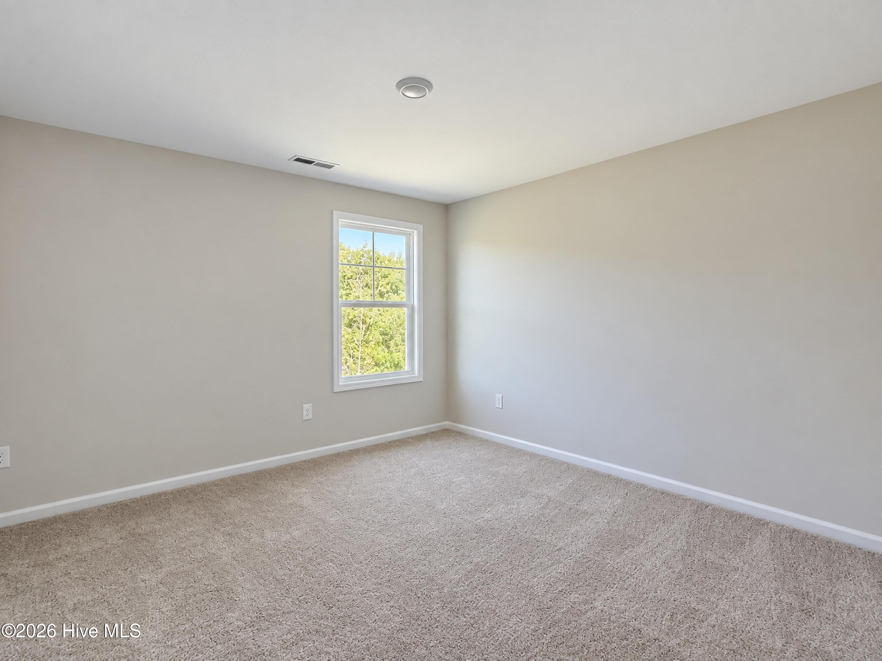 Single Family Residence at 51 Fiddleneck Court, Selma, NC 27576, photo 299 of 311
