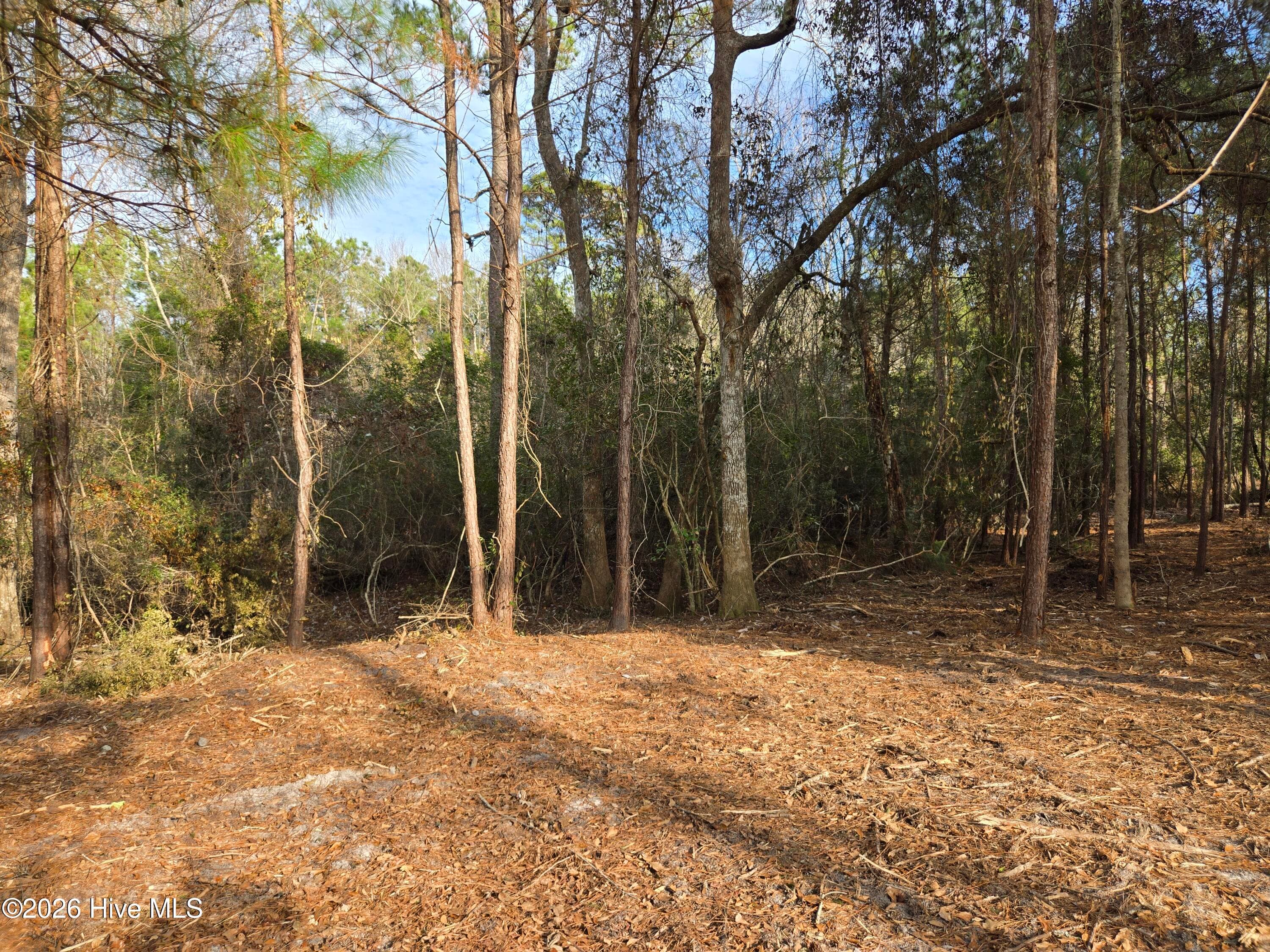 Residential Lot at 328 Ace Lane, Swansboro, NC 28584, photo 5 of 6