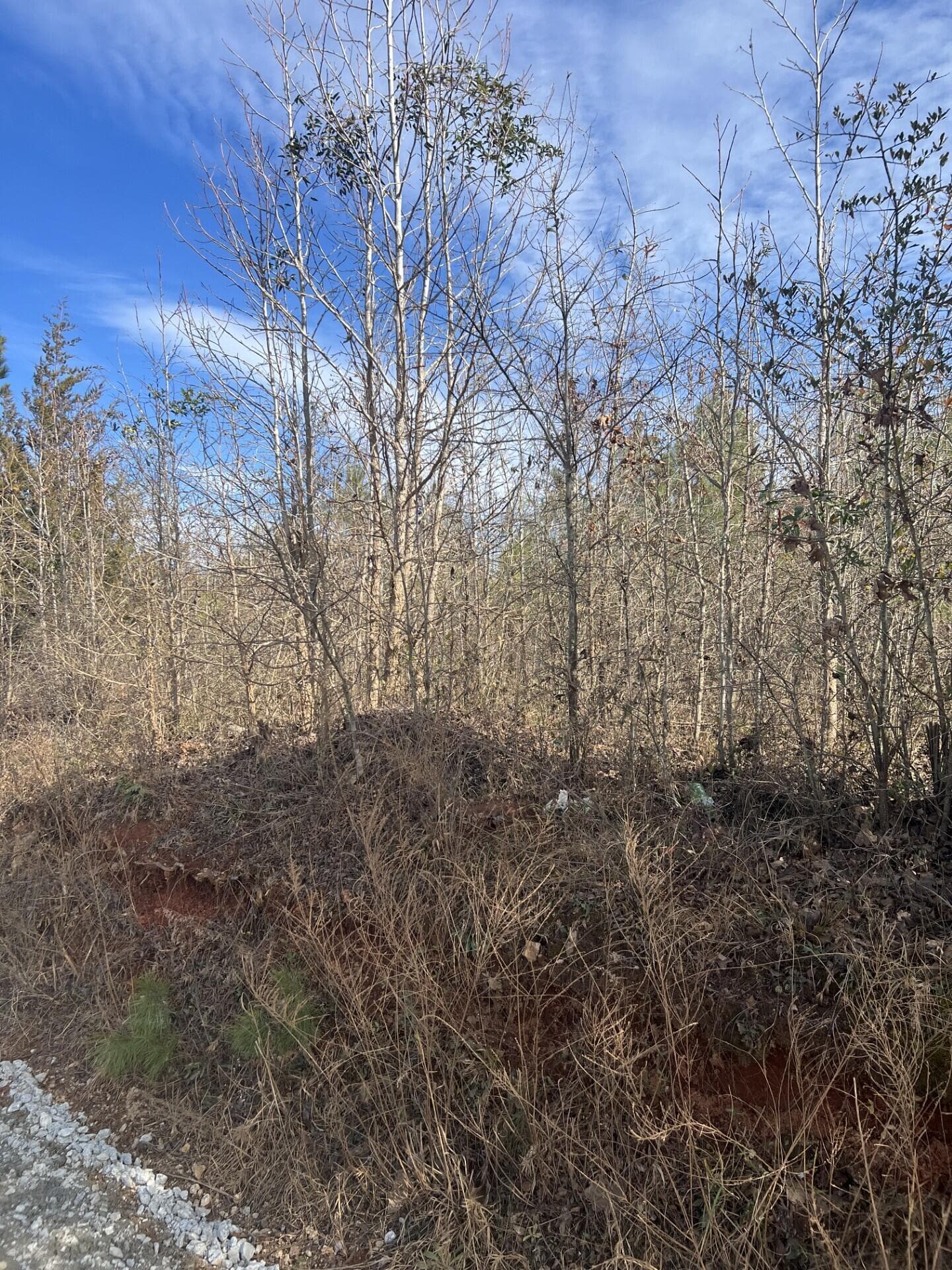 Residential Lot at 0 Clanton Road, Evans, GA 30809, photo 10 of 10
