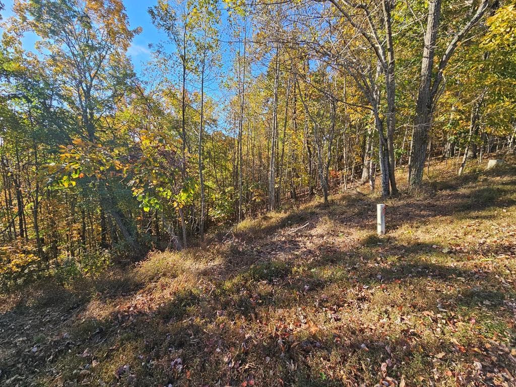 Residential Lot at 38 38 Trophy Buck Point, Murphy, NC 28906, photo 2 of 2