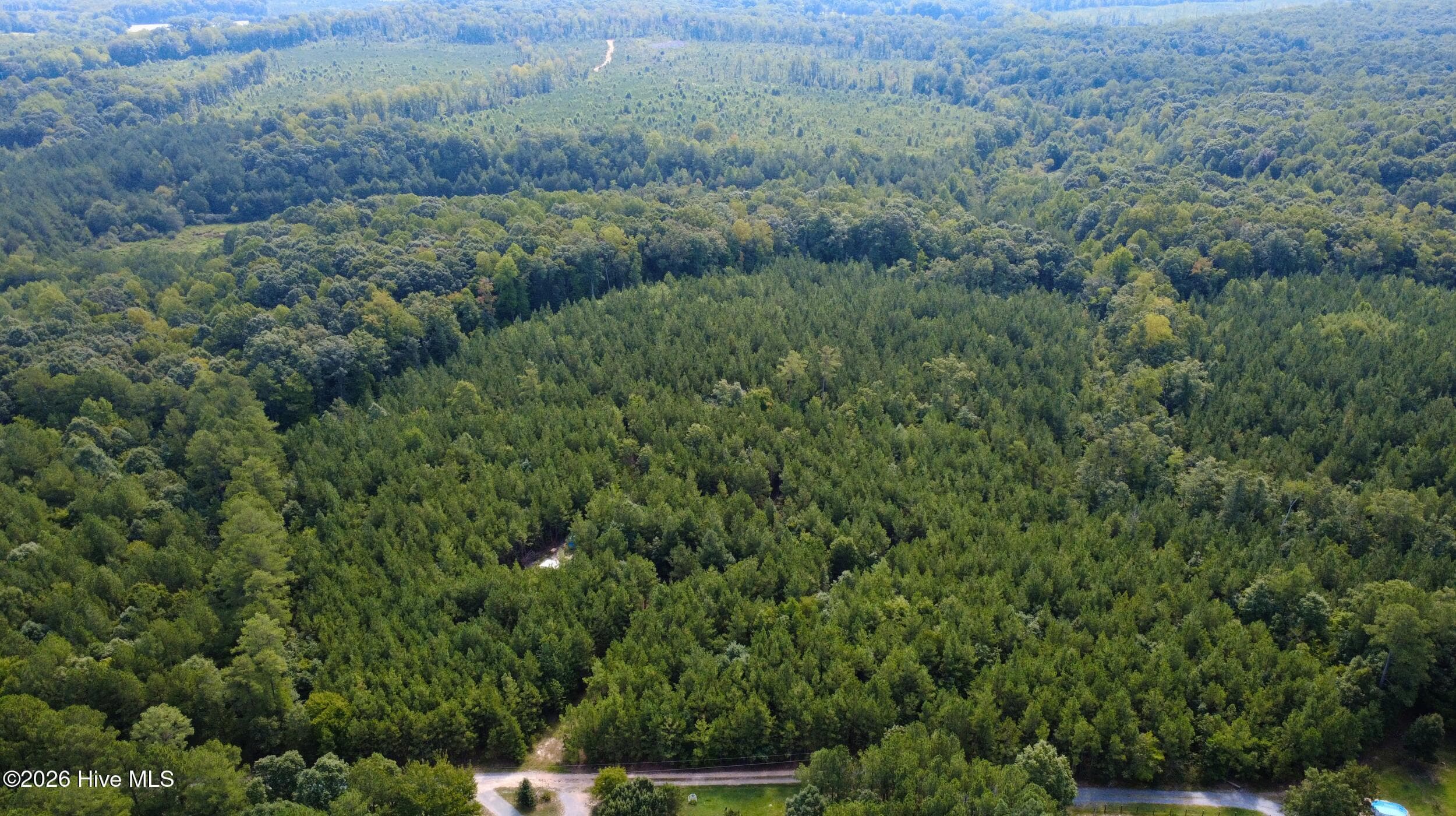 Undeveloped at 239 16 Lick Creek Road, Carthage, NC 28327, photo 5 of 12