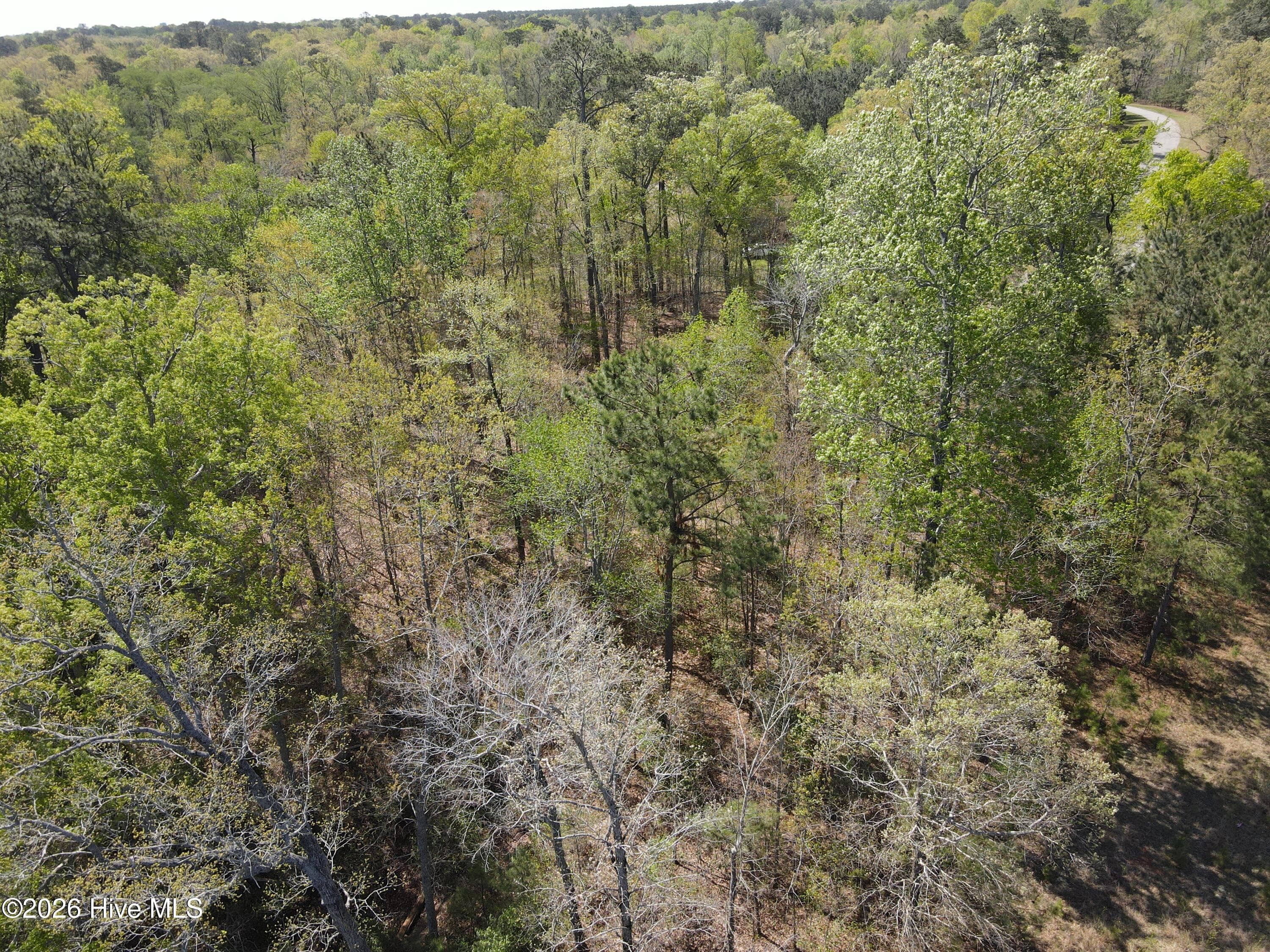 Residential Lot at Lot 9 Riversedge Drive, Winton, NC 27986, photo 11 of 11