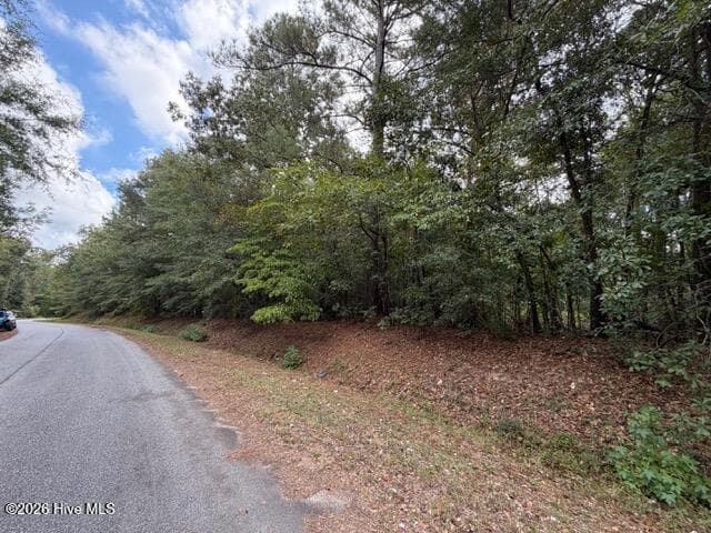 Mixed Use at 4441 Keys Road, Hephzibah, GA 30815, photo 3 of 3