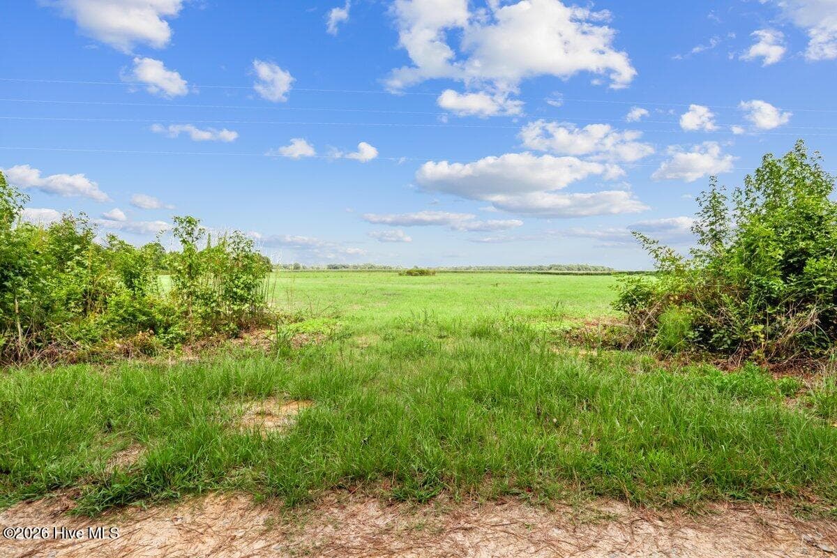 Residential Lot at Lot 1 Waller Road, Mount Olive, NC 28365, photo 13 of 16
