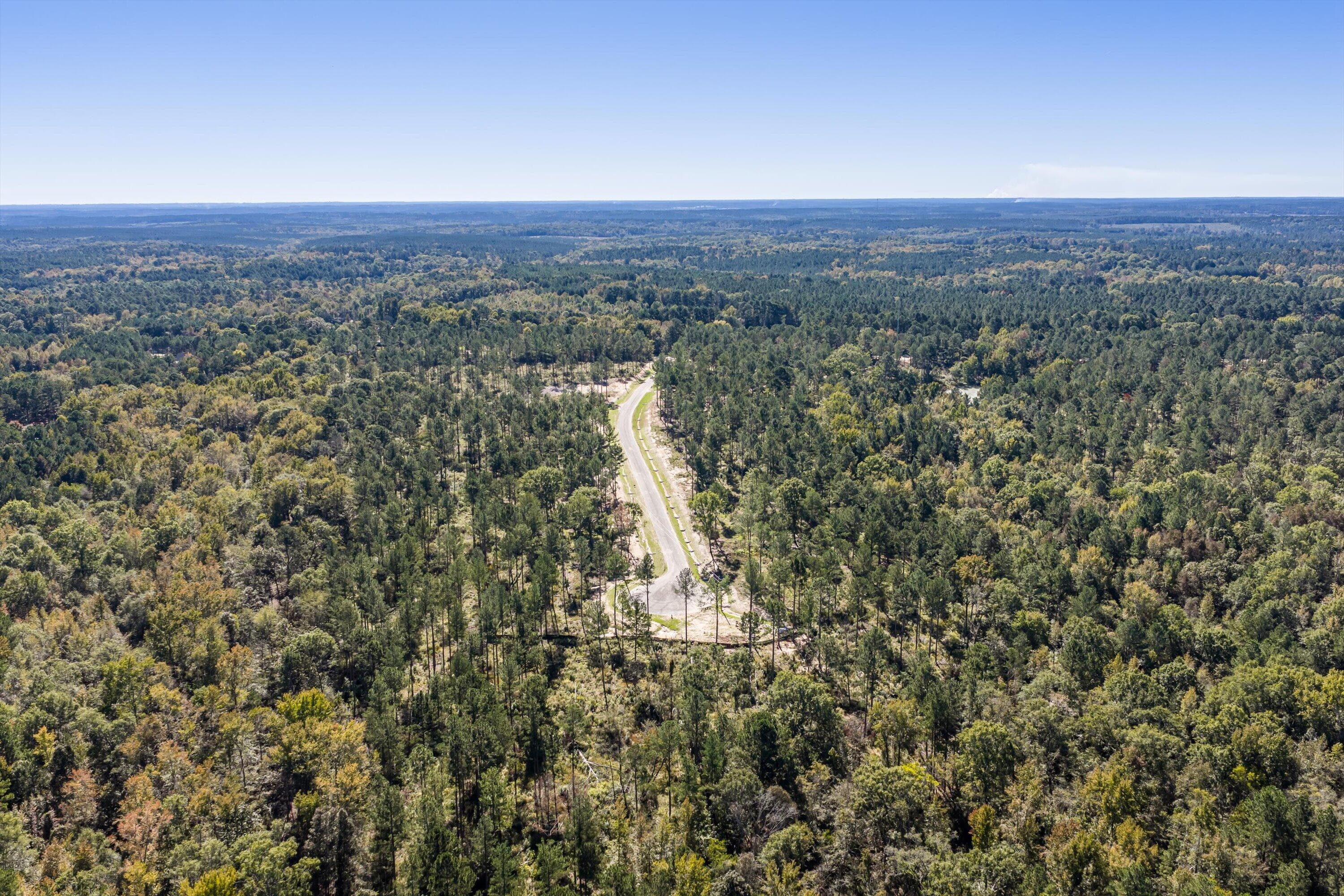 Residential Lot at 174 Beagle Chase Drive, Appling, GA 30802, photo 4 of 6