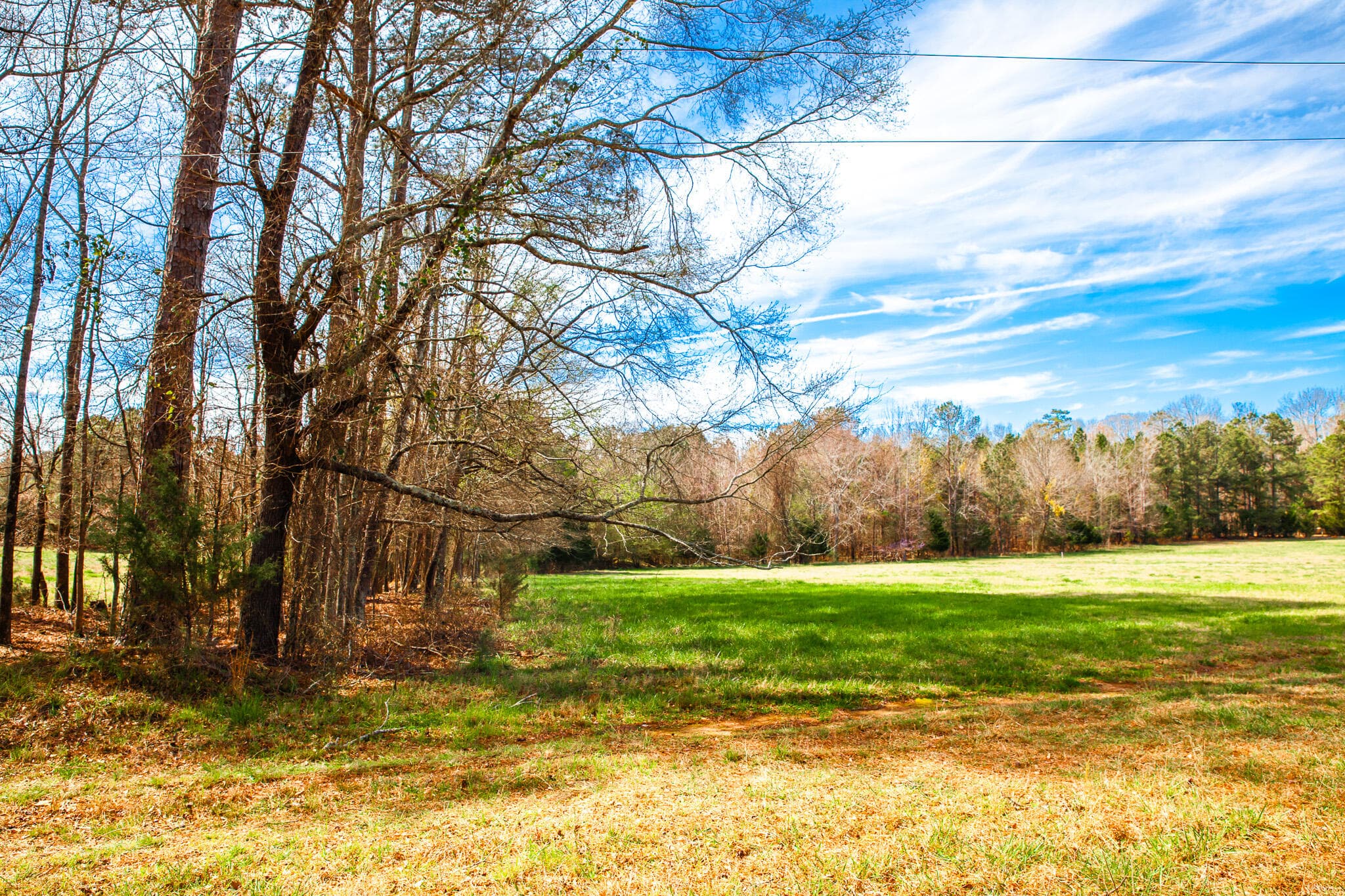 Undeveloped at 3510 4 Mistletoe Road, Appling, GA 30802, photo 2 of 7