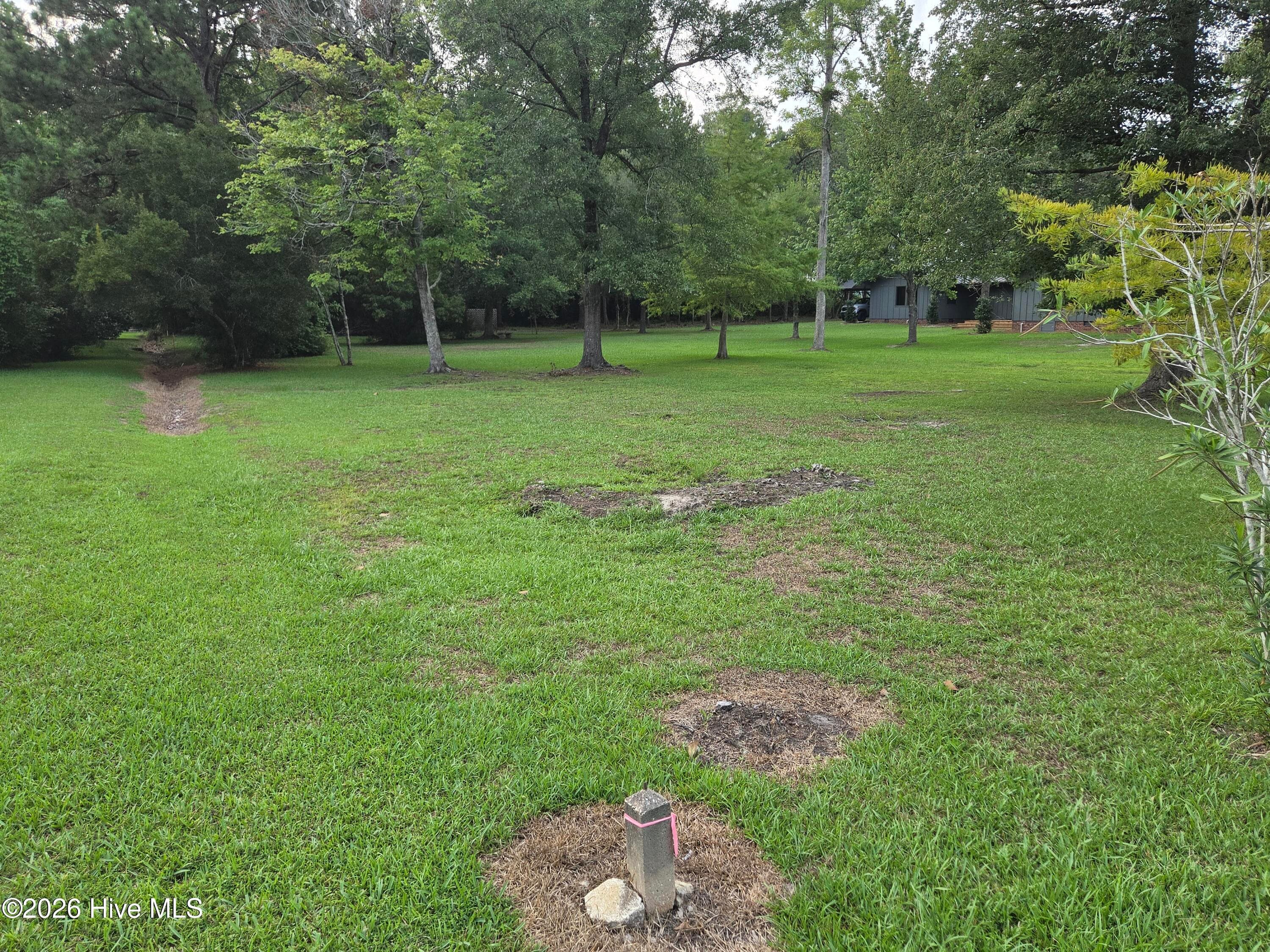 Residential Lot at Tbd Pine Street, Lake Waccamaw, NC 28450, photo 6 of 8