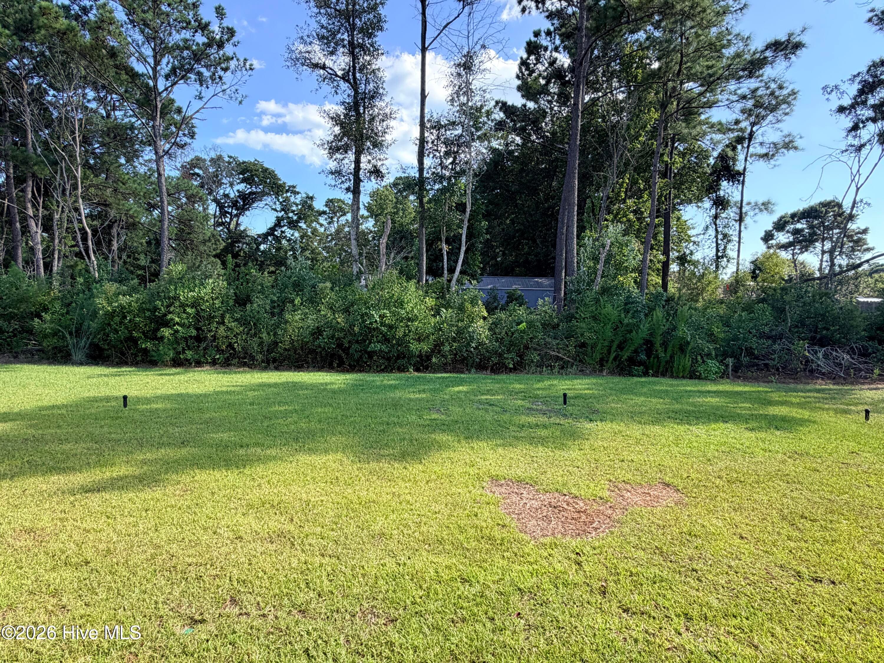 Single Family Residence at 3483 Sandhill Crane Drive SW Litchfield Il Lot 19, Ocean Isle Beach, NC 28469, photo 13 of 35