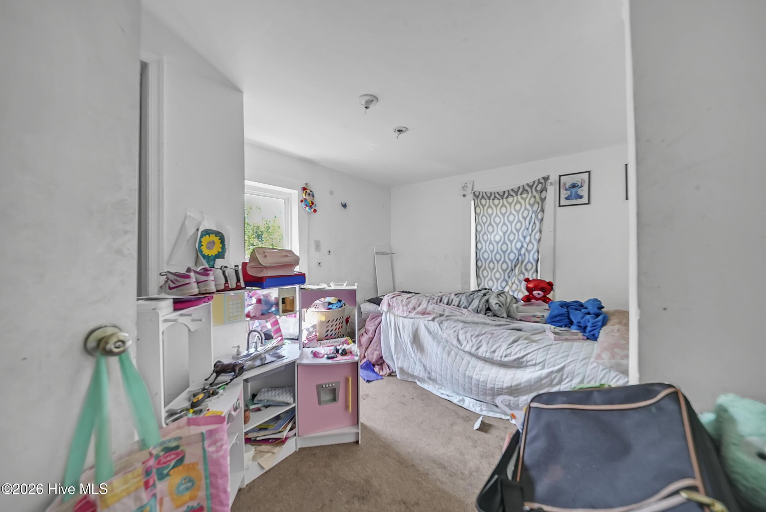 Single Family Residence at 207 Bell Street, Elizabeth City, NC 27909, photo 27 of 31