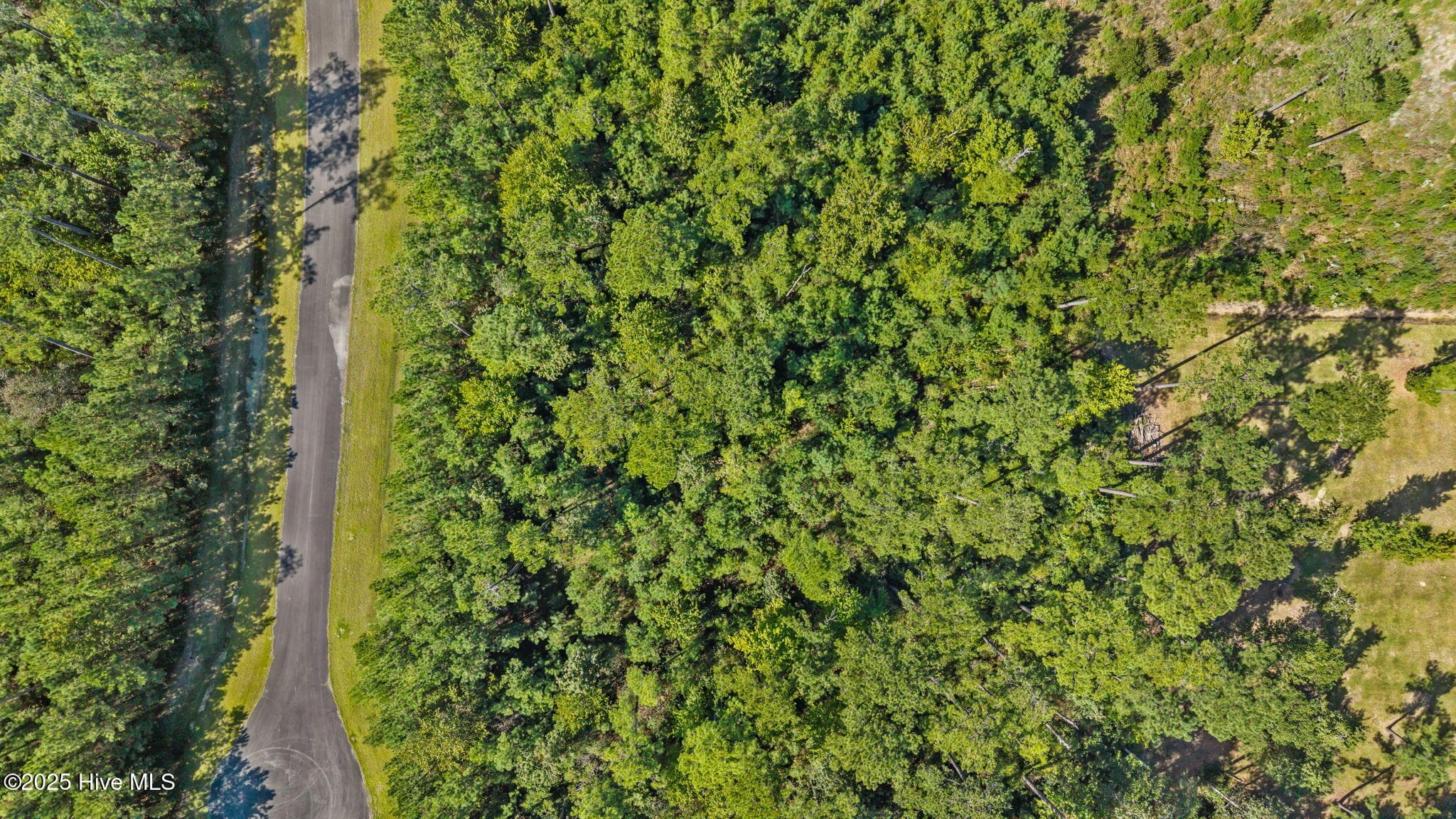 Undeveloped at 87 49 Mason Lane, Merritt, NC 28556, photo 12 of 12