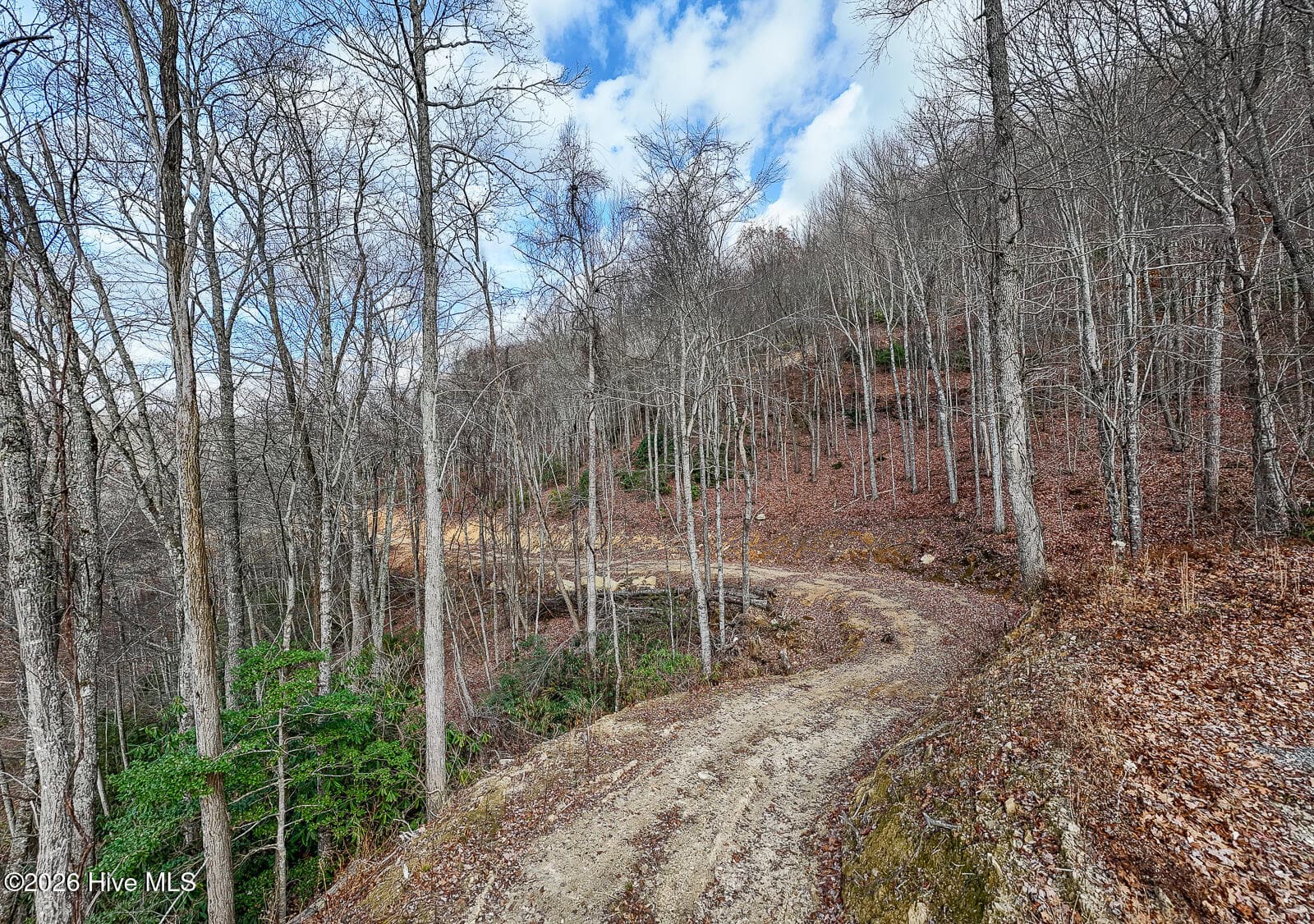 Undeveloped at Lot 20 Walnut Cove Branch, Robbinsville, NC 28771, photo 3 of 31