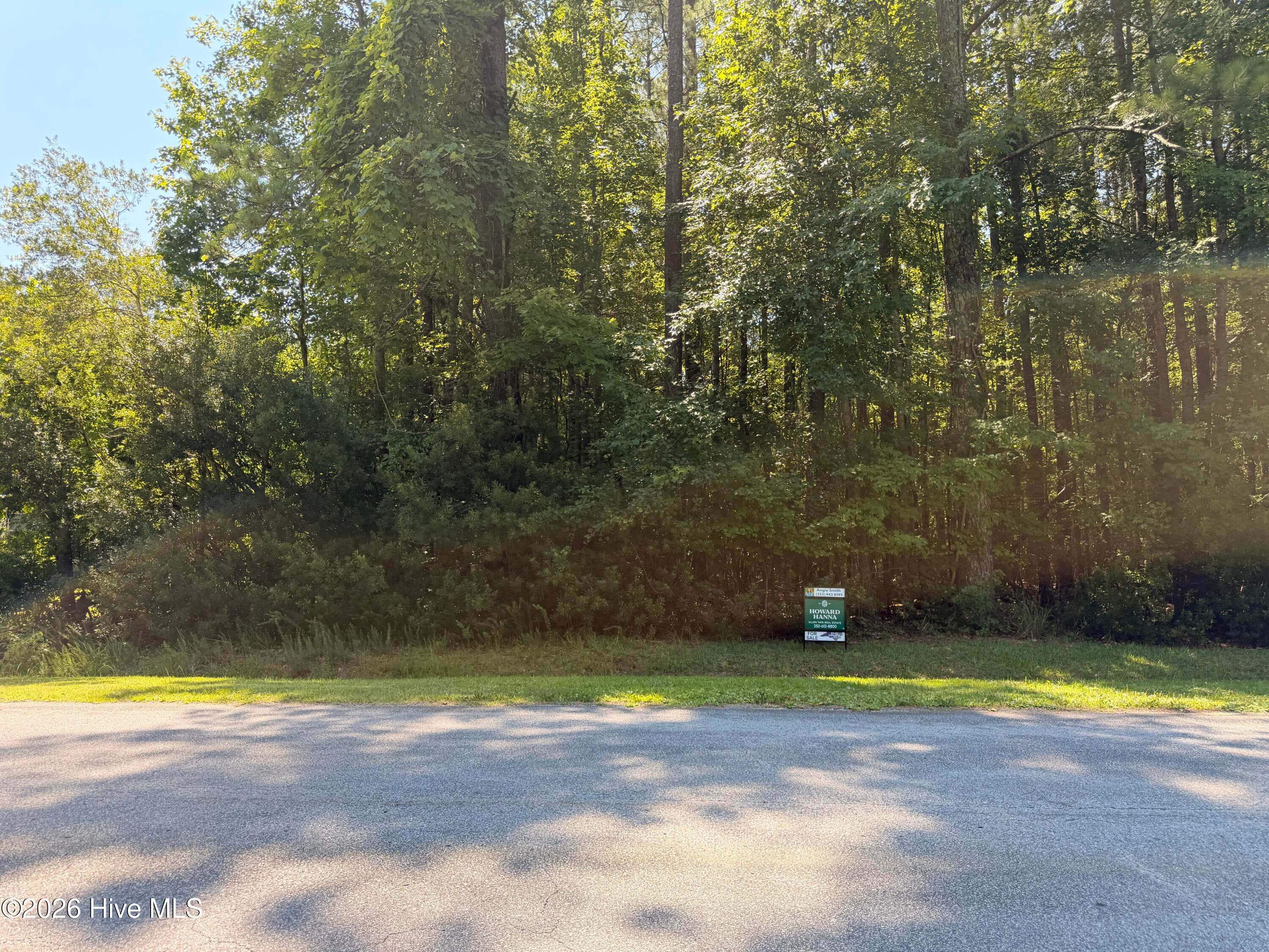 Residential Lot at Lot 18 Off Sr 1119, Blounts Creek, NC 27814, photo 2 of 3