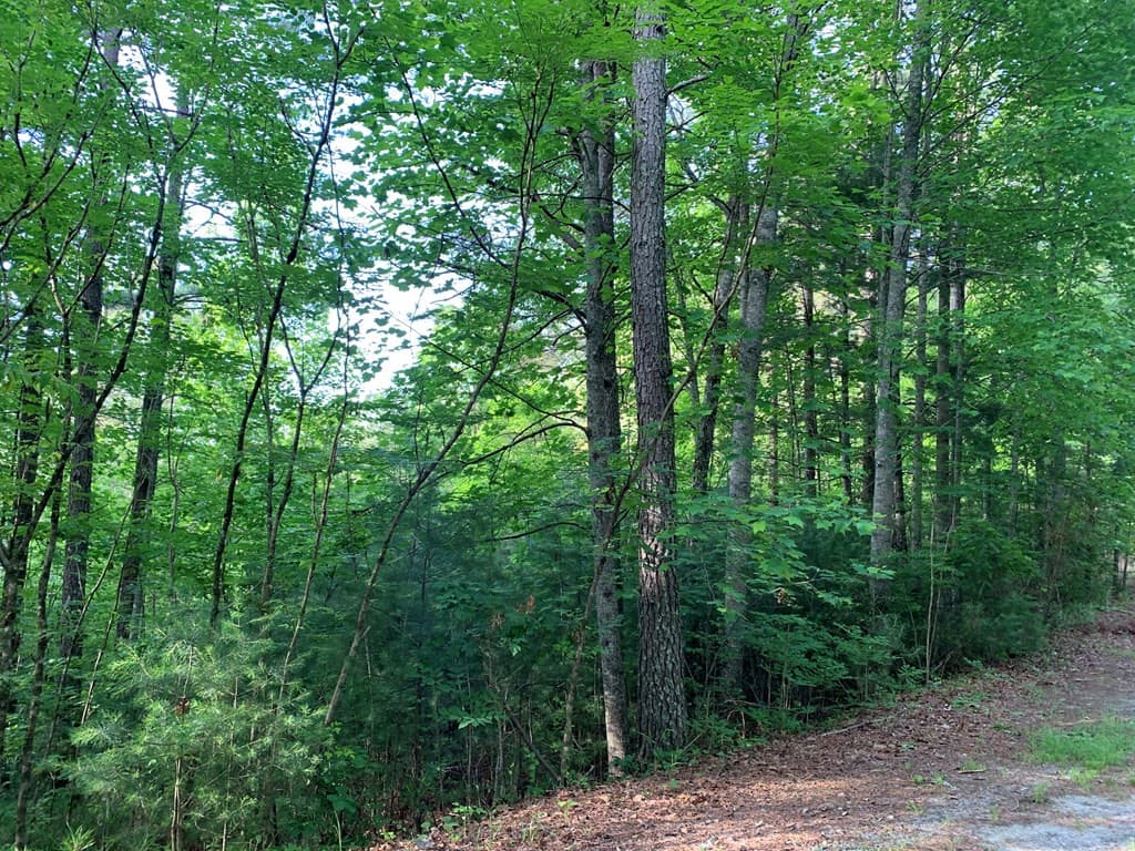 Land at Lot 43 Kestrel Ridge Circle, Murphy, NC 28906, photo 8 of 24
