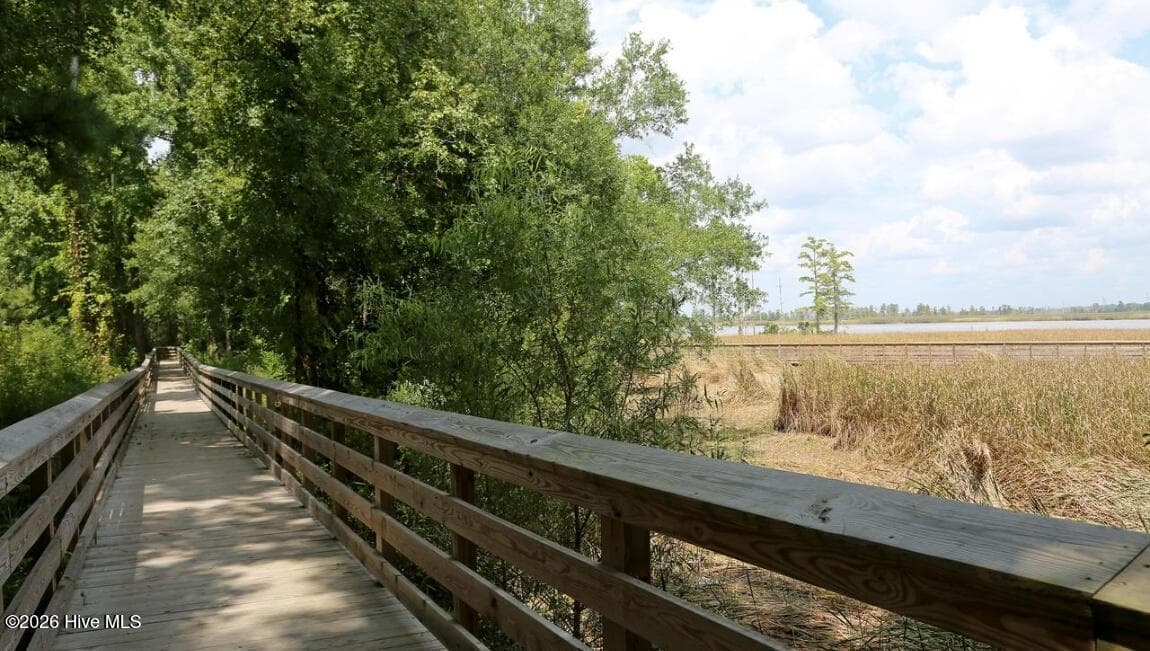 Single Family Residence at 8611 Blue Haw Way Lot 124, Leland, NC 28451, photo 31 of 36
