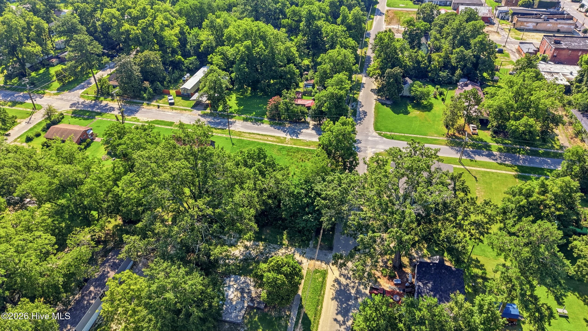 Residential Lot at 201 Martin Luther King Street, Rowland, NC 28383, photo 10 of 12