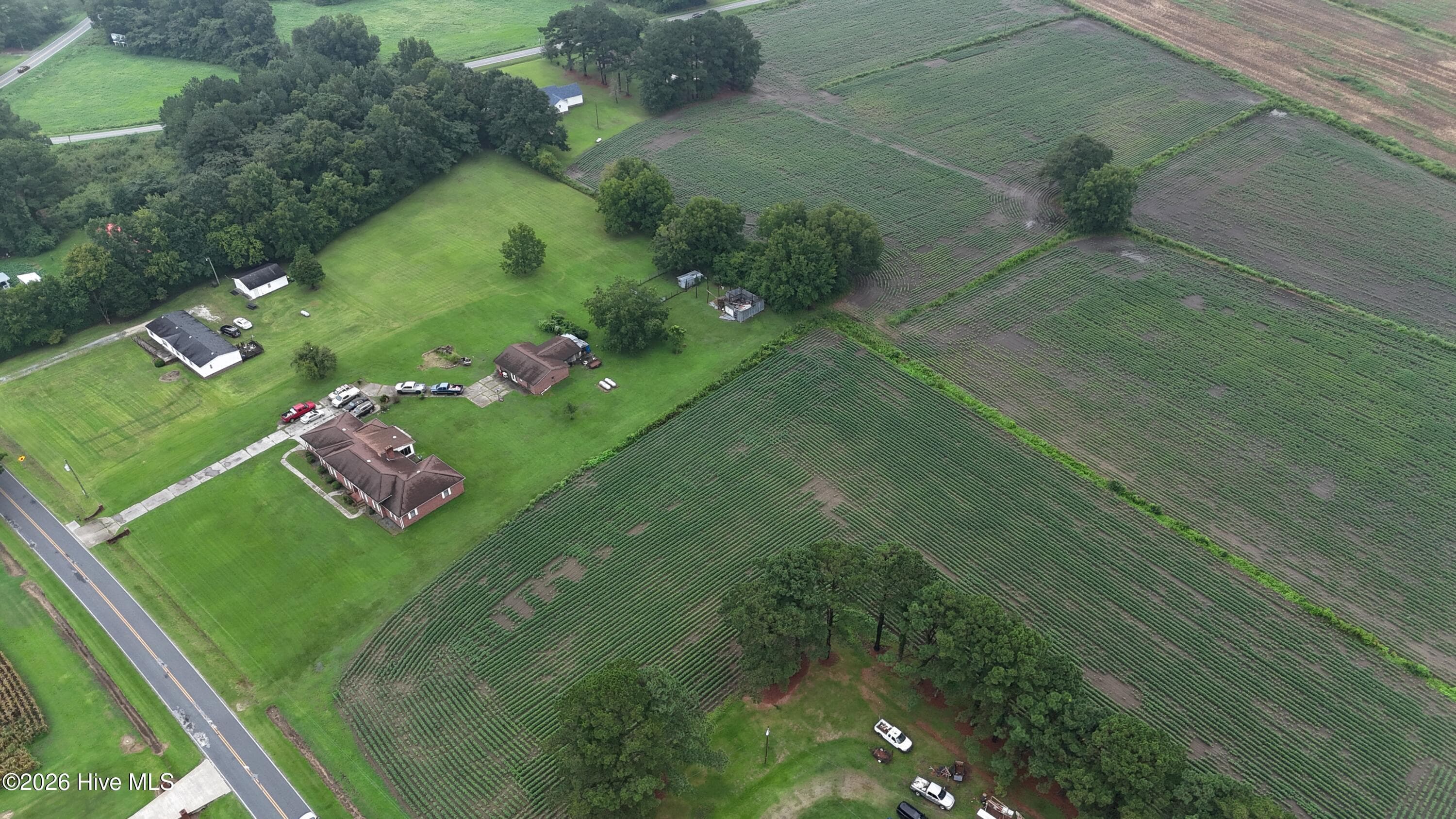Agriculture at Near 128 Bay Rd., Rose Hill, NC 28458, photo 13 of 21