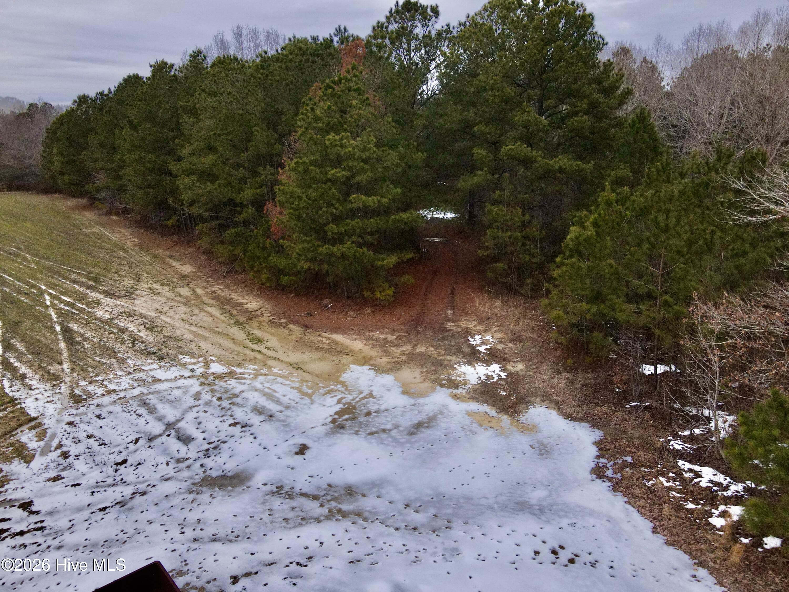 Undeveloped at 1528 S King Street, Windsor, NC 27983, photo 7 of 10