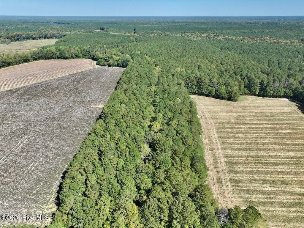 Mixed Use at 0 Spring Hill Road, Scotland Neck, NC 27874, photo 16 of 93