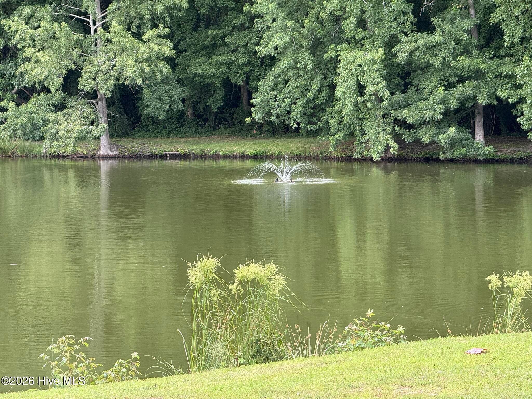 Condominium at 605 Spring Forest Road E, Greenville, NC 27834, photo 8 of 13