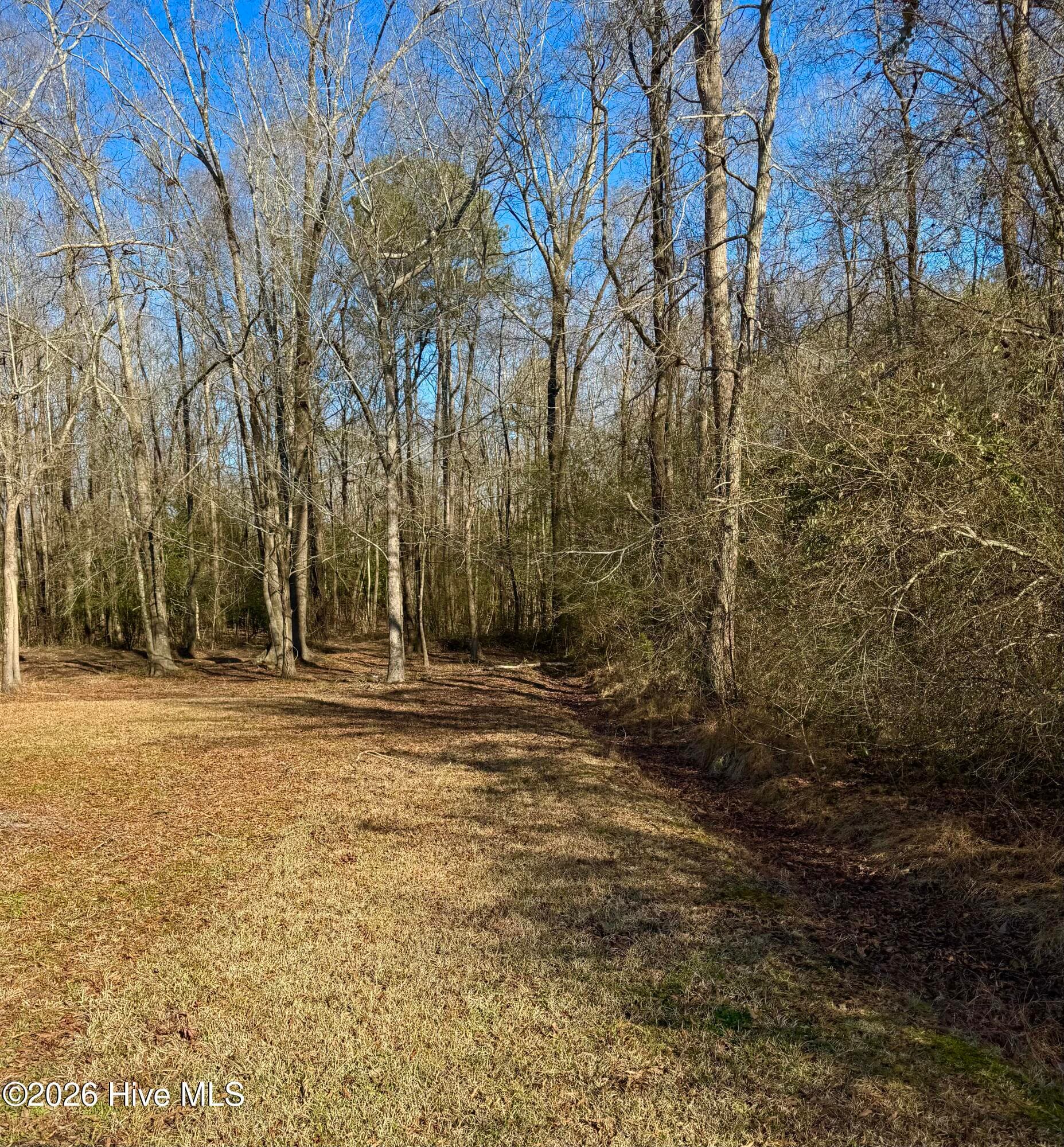Wooded at 0 Fred Circle S, Kenly, NC 27542, photo 19 of 21