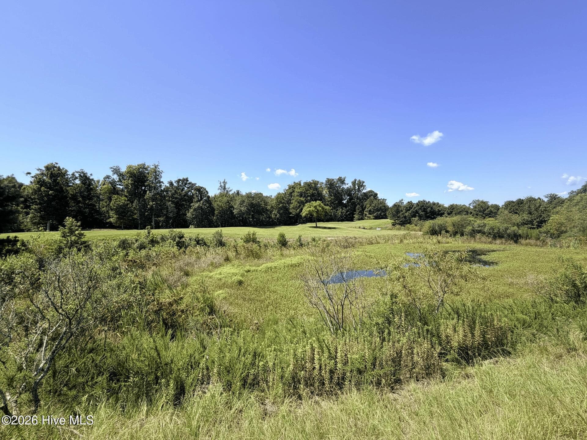 Residential Lot at 135-137 344 W Royal Way, Merry Hill, NC 27957, photo 3 of 7