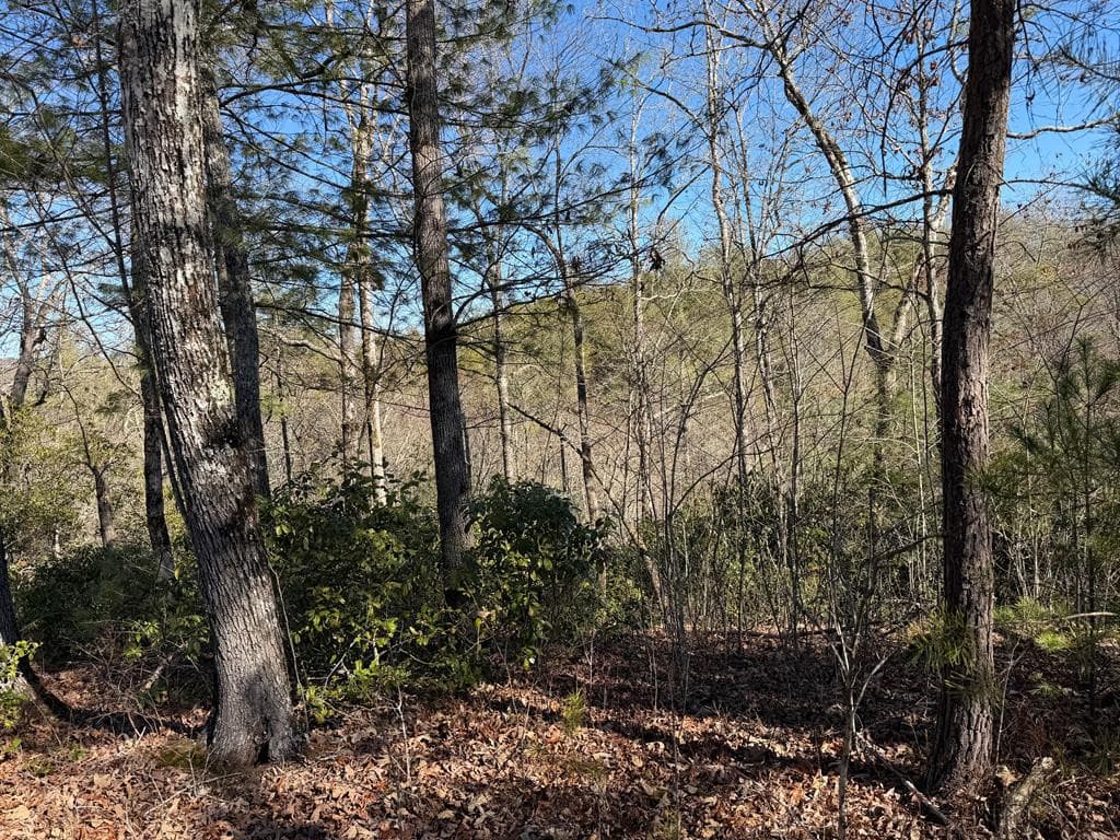 Land at Lot #20 20 Yellow Maple Drive, Murphy, NC 28906, photo 6 of 14