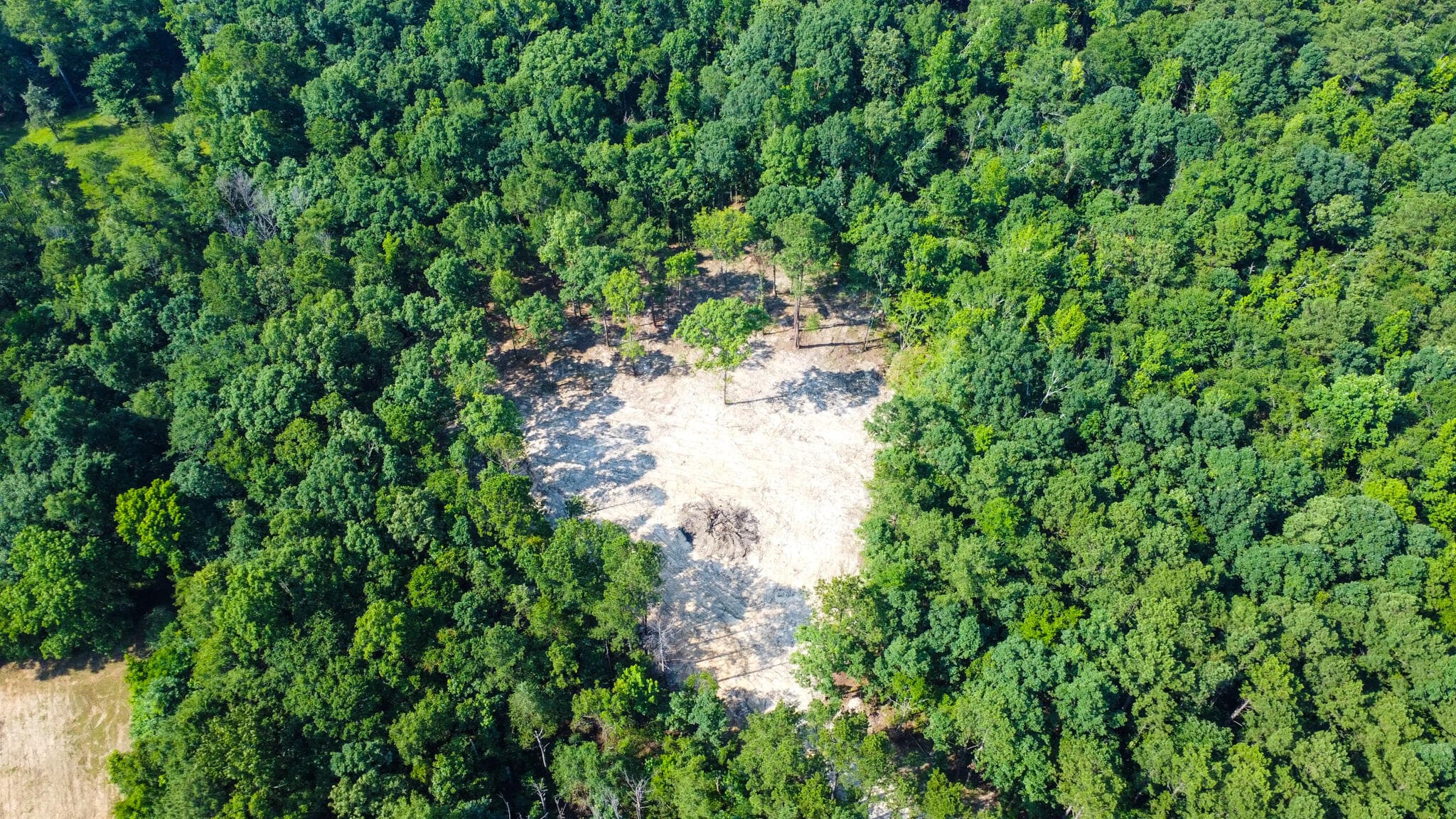 Undeveloped at 0 Backway Road, Lincolnton, GA 30817, photo 15 of 48