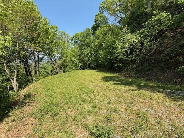 Residential Lot at Lot 43 43 Silo View, Marble, NC 28905, photo 4 of 11