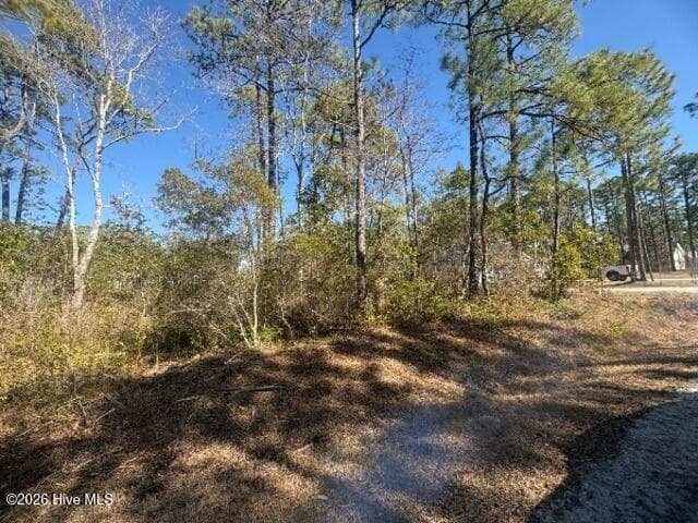 Residential Lot at 516 Barclay Road, Boiling Spring Lakes, NC 28461, photo 4 of 5