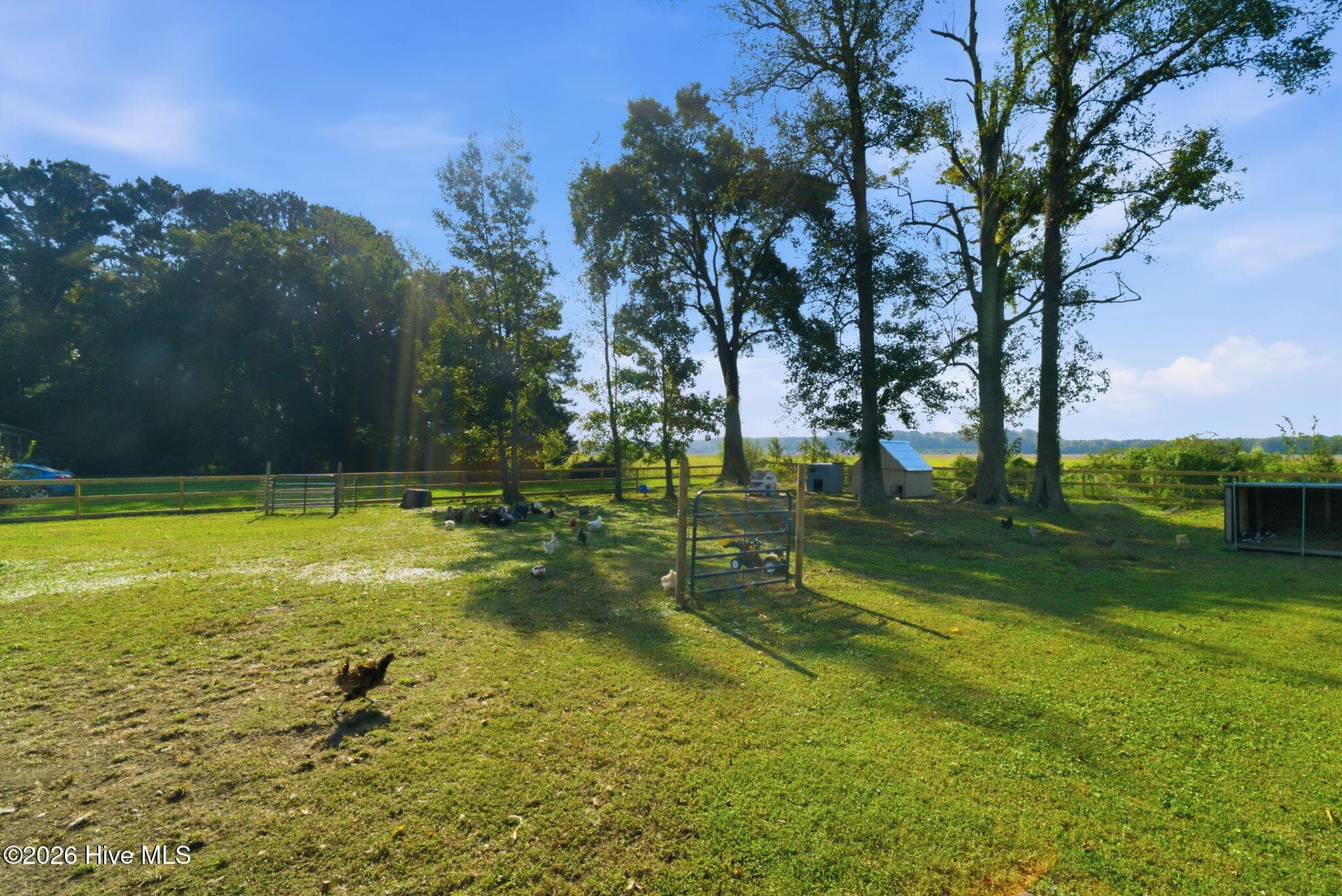 Single Family Residence at 141 Lilly Road, South Mills, NC 27976, photo 32 of 34