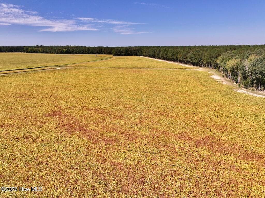 Mixed Use at 0 Spring Hill Road, Scotland Neck, NC 27874, photo 56 of 93
