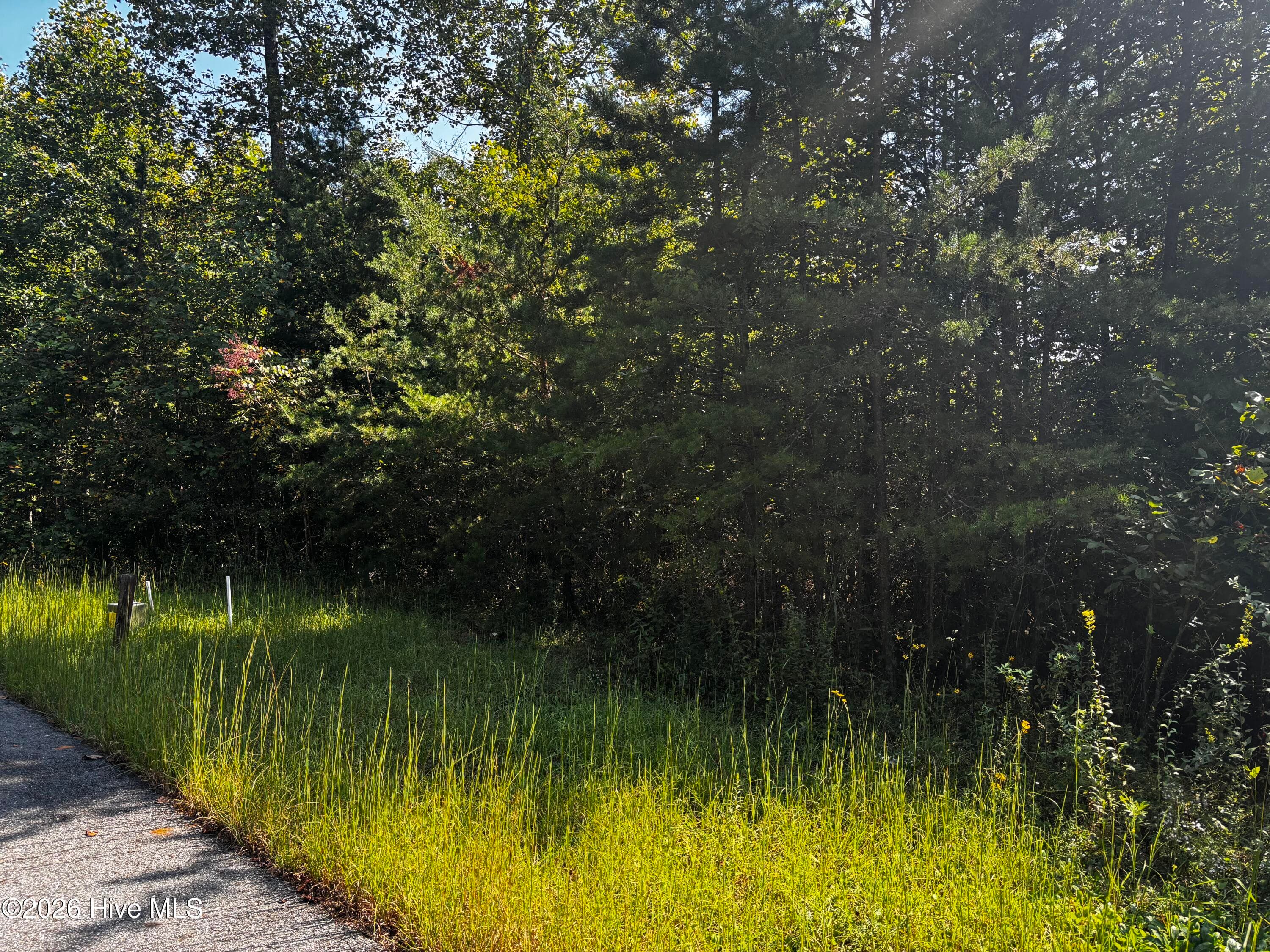 Residential Lot at 00 35 Highland Ridge Trail, Murphy, NC 28906, photo 3 of 8