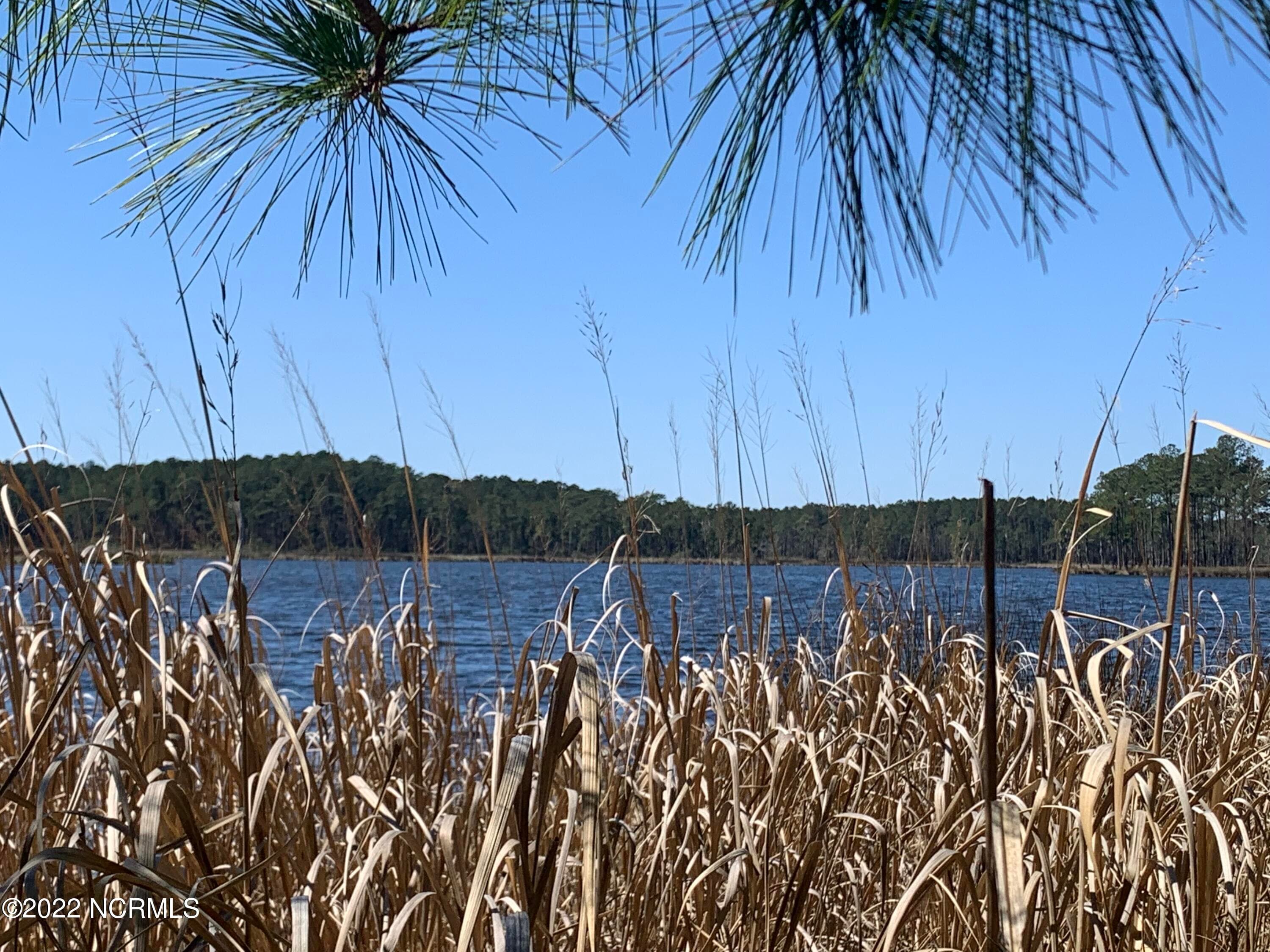 Wooded at Lot 24 24 Bailey Pointe S/D Drive, Belhaven, NC 27810, photo 8 of 19
