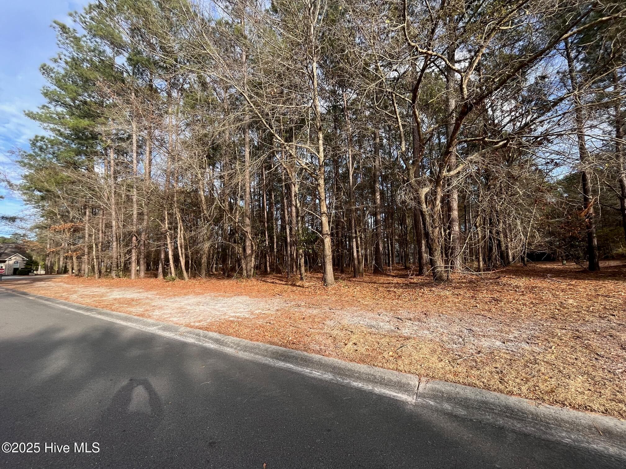 Residential Land at 264 Red Fox Run Drive, Wallace, NC 28466, photo 5 of 6