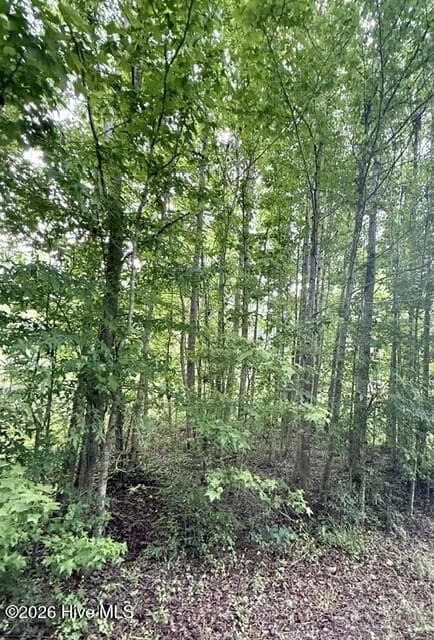 Residential Lot at 1537 Joy Road, Harlem, GA 30814, photo 3 of 7