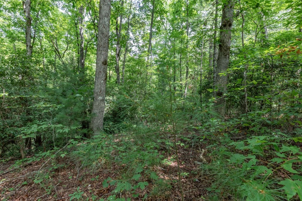 Land at Lot 18 The Ridges Of Carolina, Murphy, NC 28906, photo 2 of 4