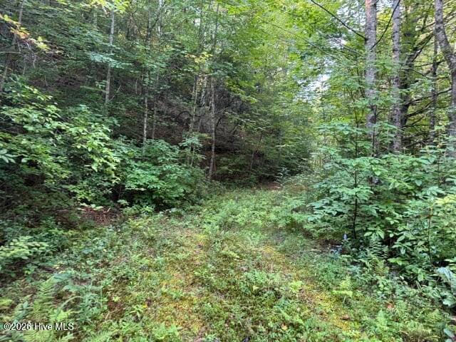 Residential Lot at 5 Tyler Lane, Marble, NC 28905, photo 14 of 28