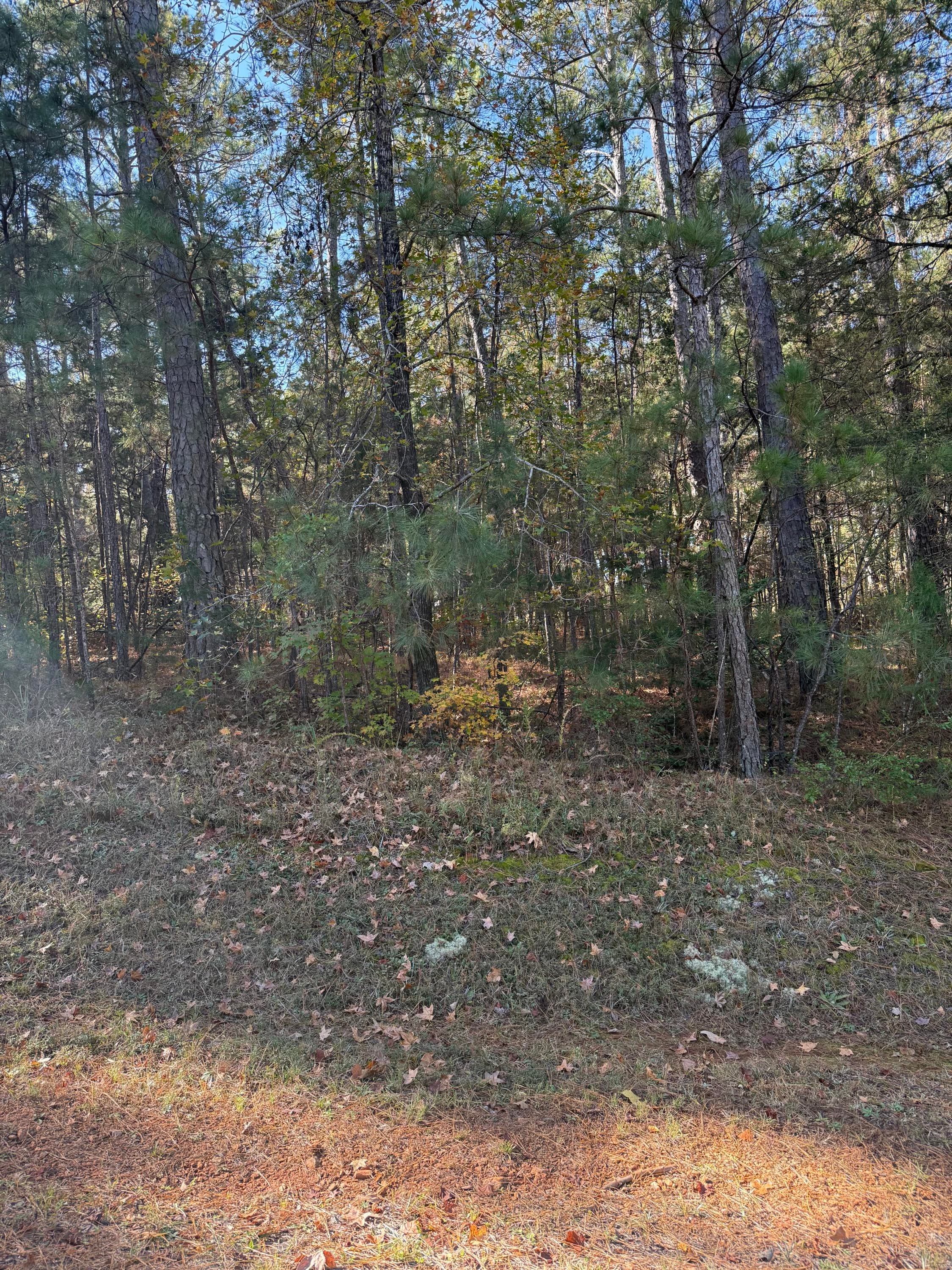 Lot 13 Two Wood Pl, McCormick, SC 29835