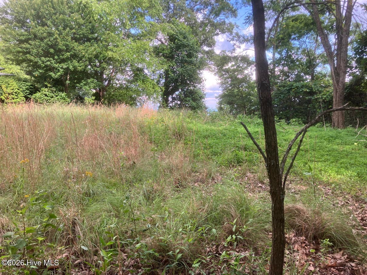 Residential Lot at Lot 51 51 Buck Ridge Drive, Murphy, NC 28906, photo 7 of 10
