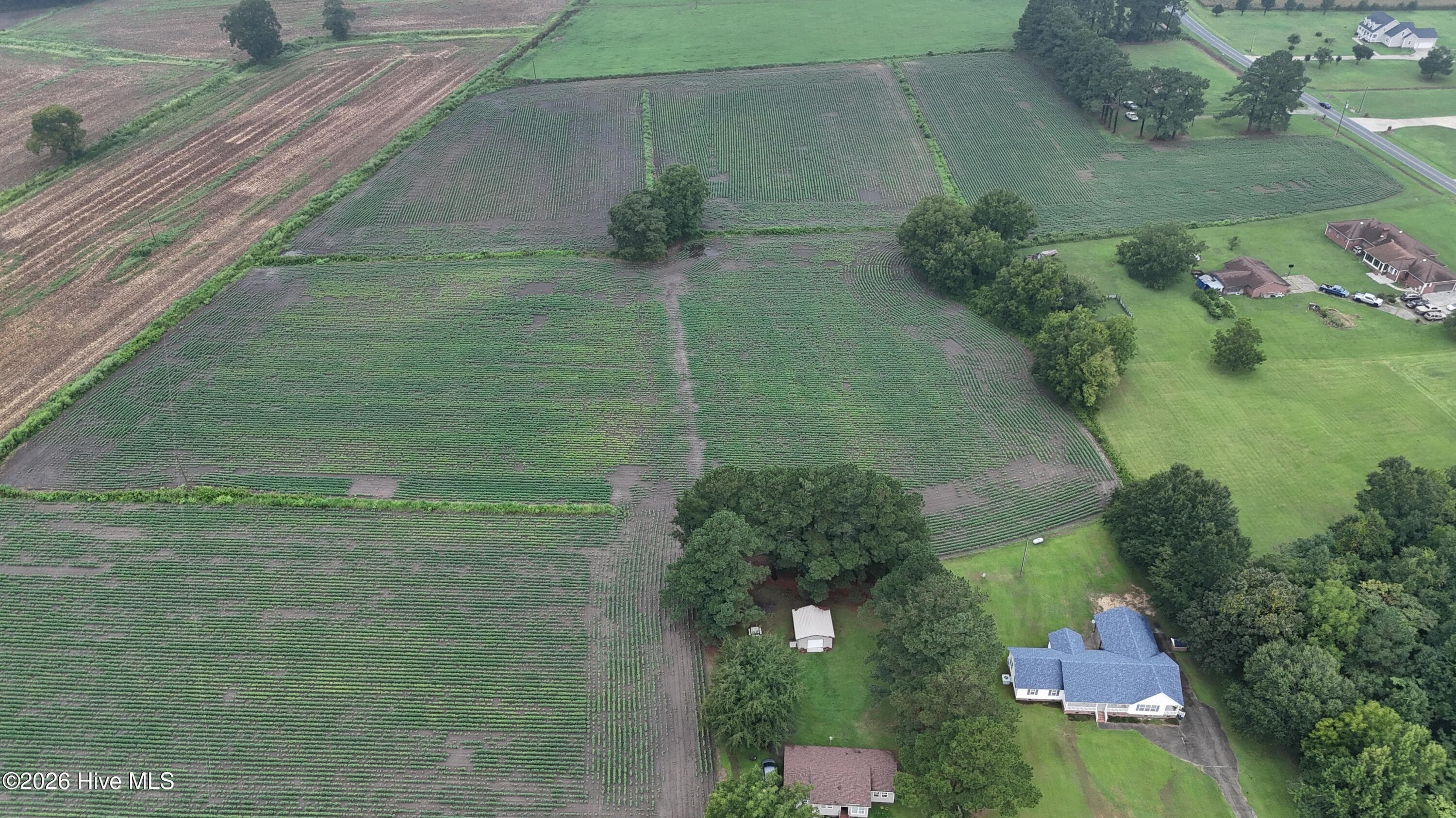 Agriculture at Near 128 Bay Rd., Rose Hill, NC 28458, photo 18 of 21