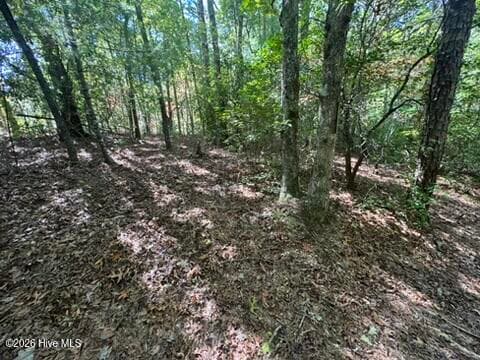 Residential Lot at Lot 1 1 Laurelwood Circle, Murphy, NC 28906, photo 3 of 24