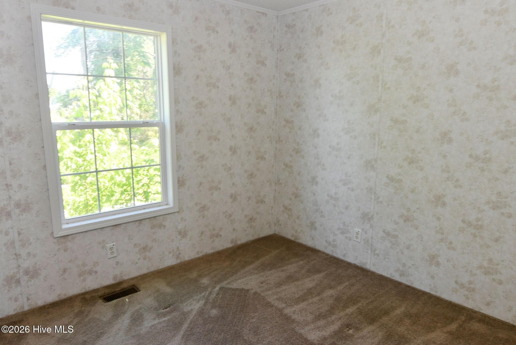 Bedroom 3 - 21 Grape Vine Landing, Columbia, NC 27925