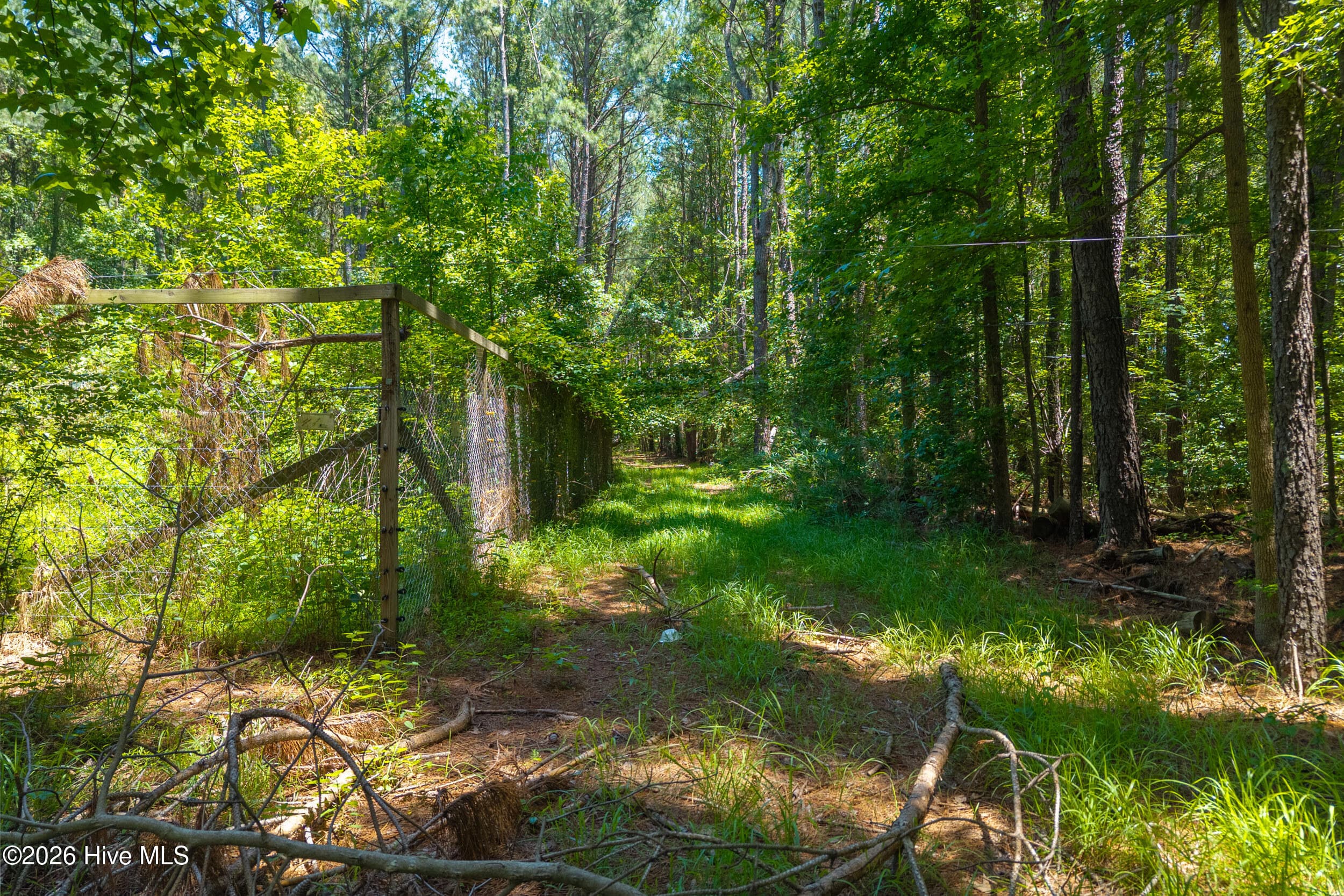 Undeveloped at 674 State Road 1415, Greenville, NC 27834, photo 8 of 10