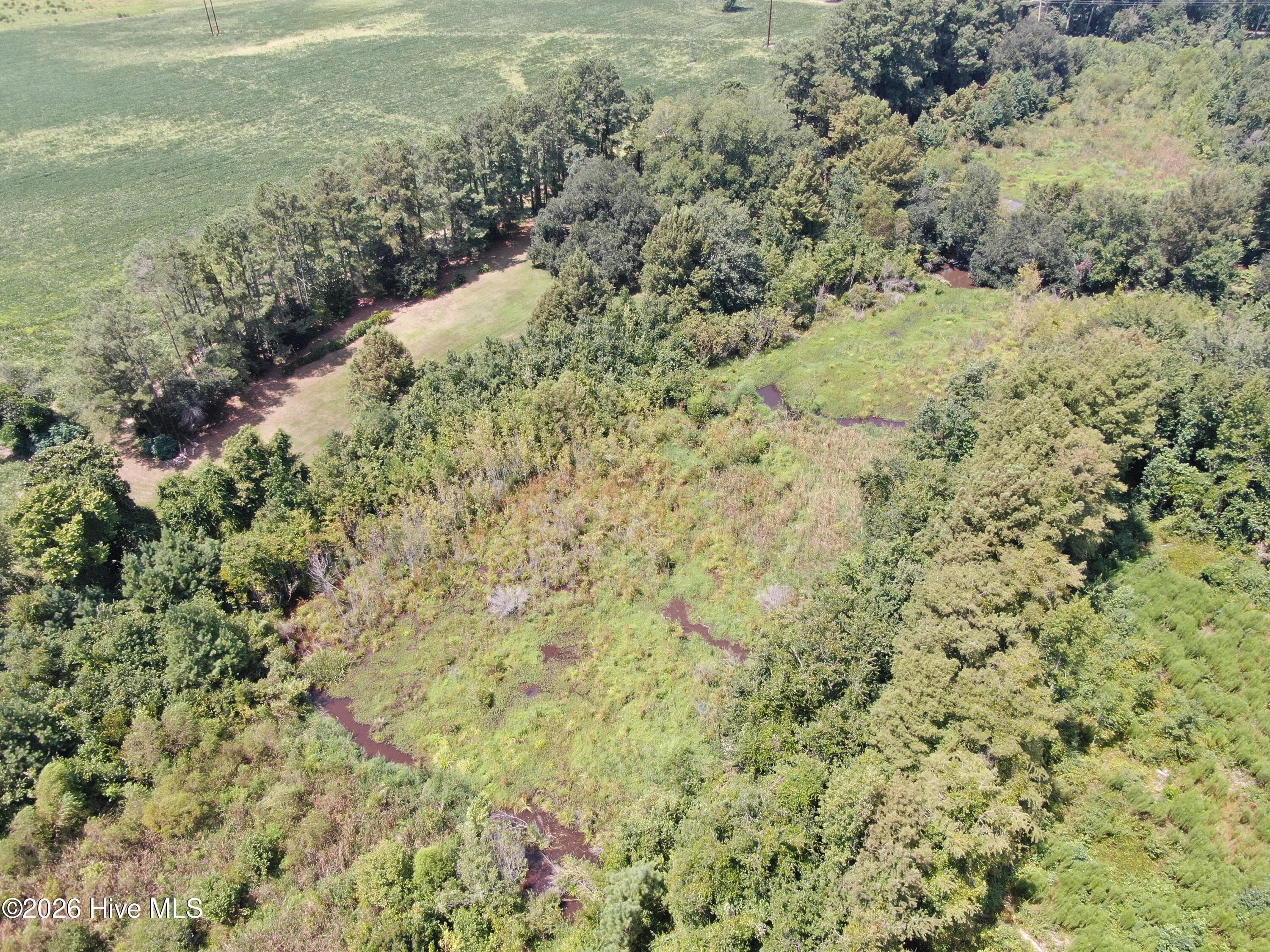 Agriculture at Tbd Chicken Road, Fairmont, NC 28340, photo 3 of 3