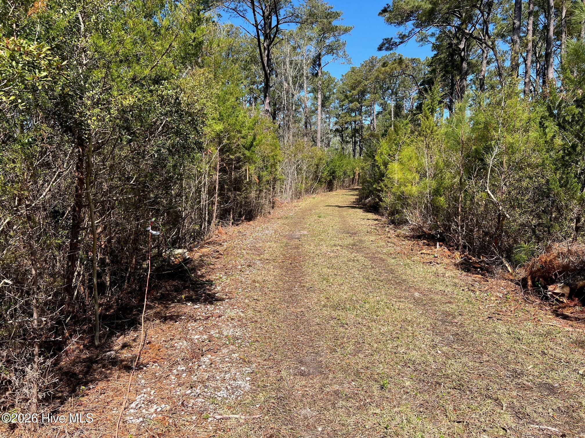 150 Styron Creek Road, Sea Level, NC 28577